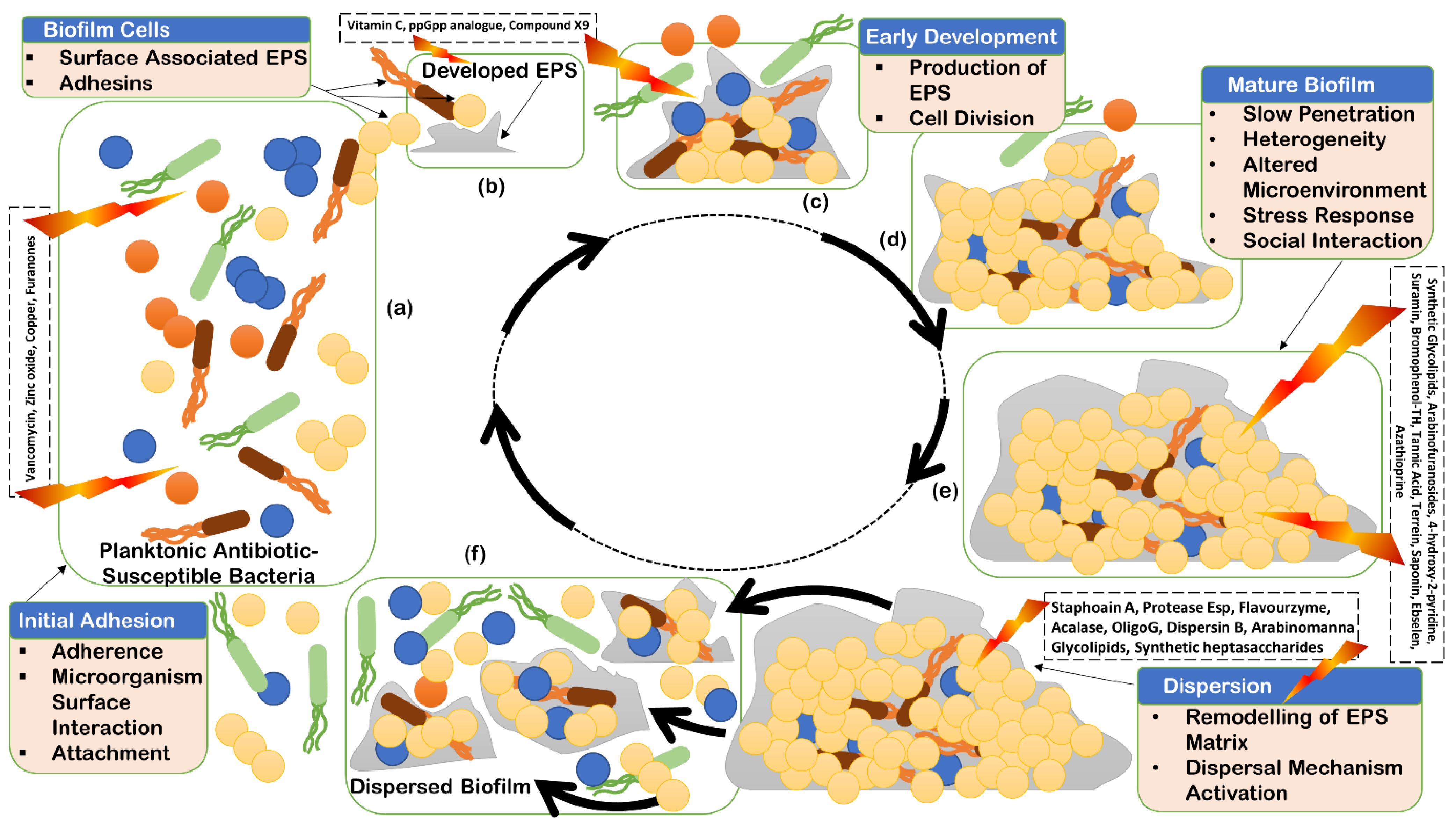 Antibiotics 11 00930 g001 Antibiotics 11 00930 g001
