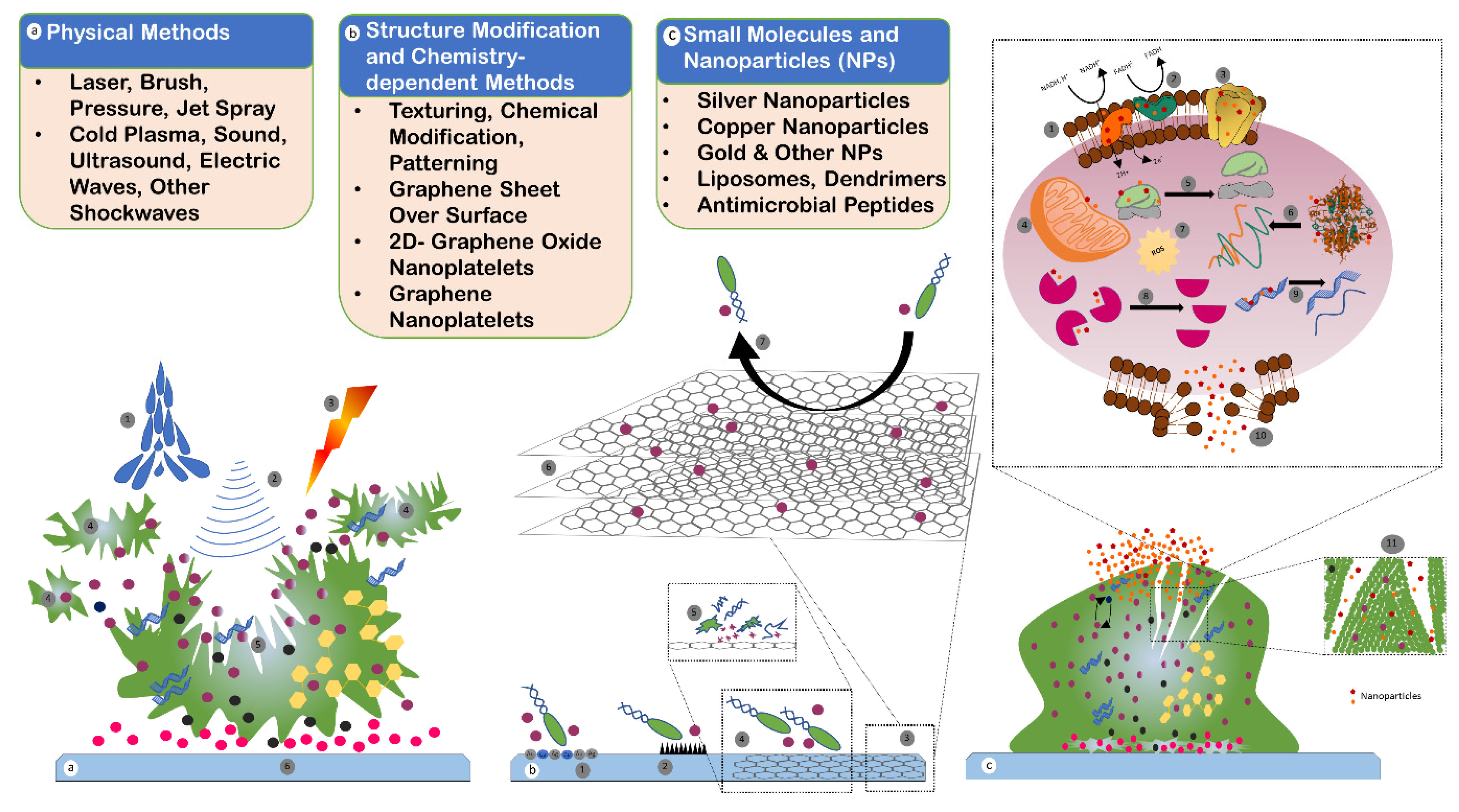 Antibiotics 11 00930 g005 Antibiotics 11 00930 g005