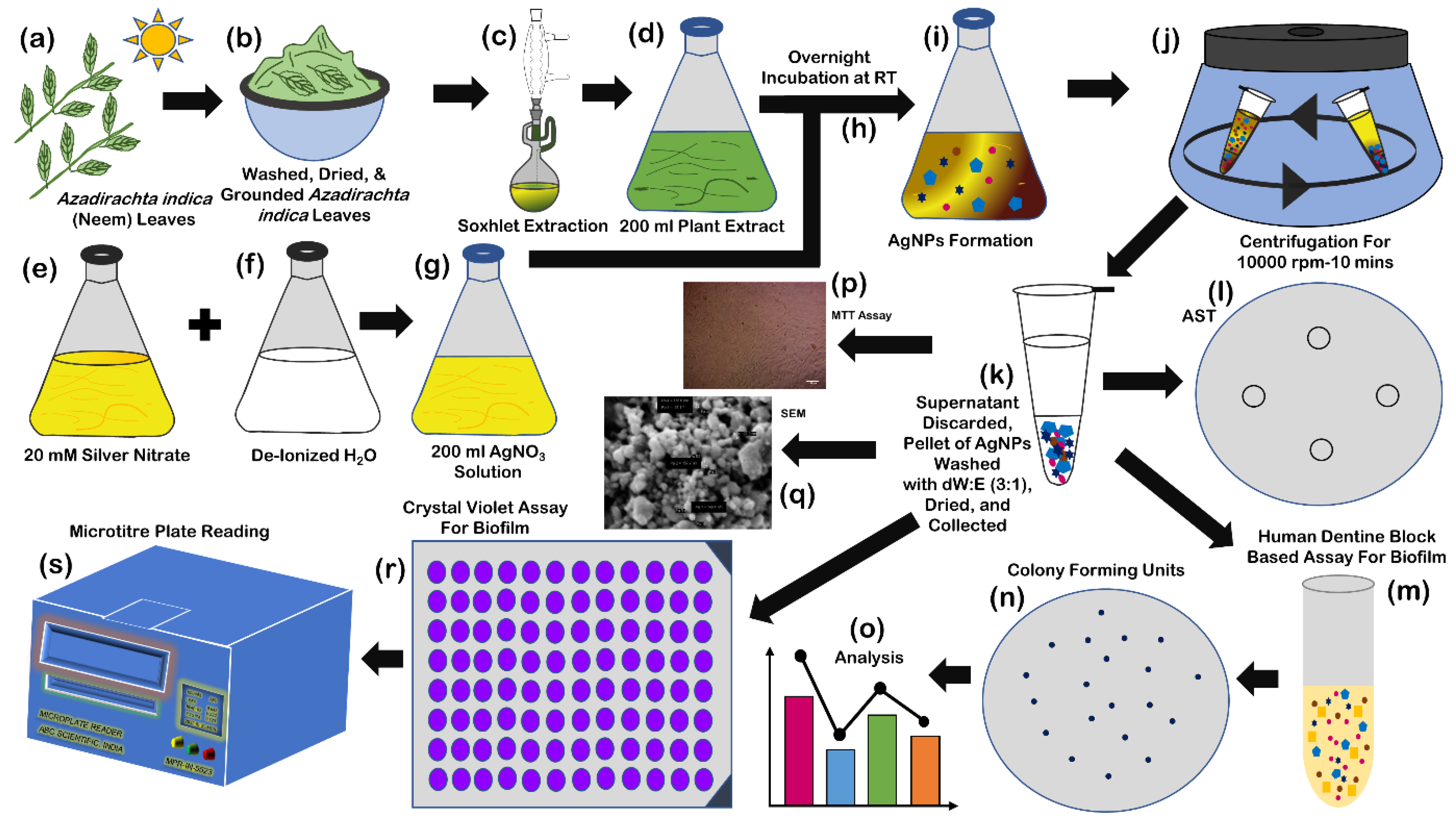 Antibiotics 11 00930 g006 Antibiotics 11 00930 g006