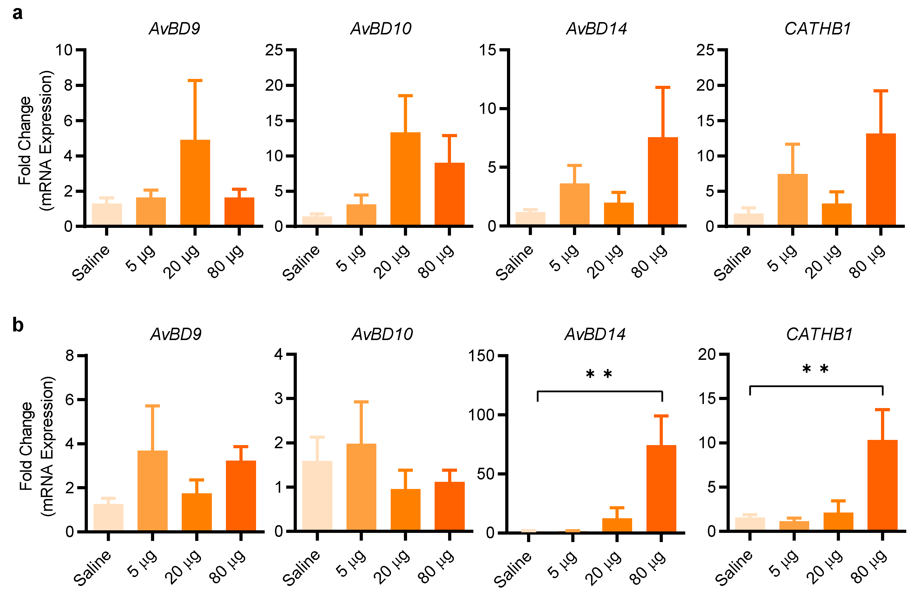 Antibiotics 11 00933 g008