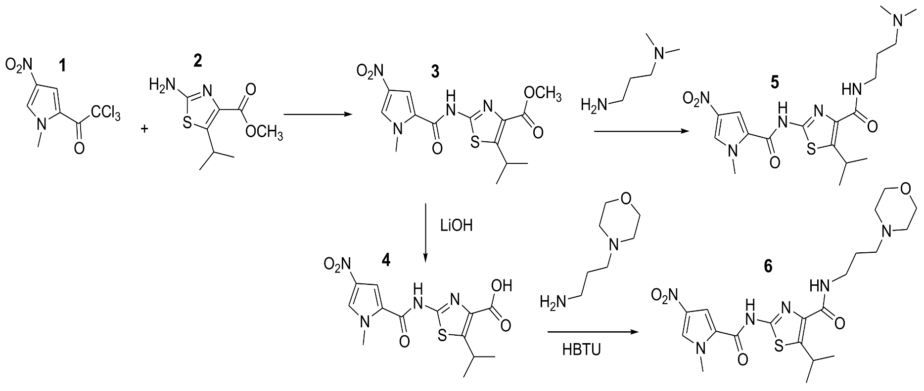 Antibiotics 11 00935 sch002 550