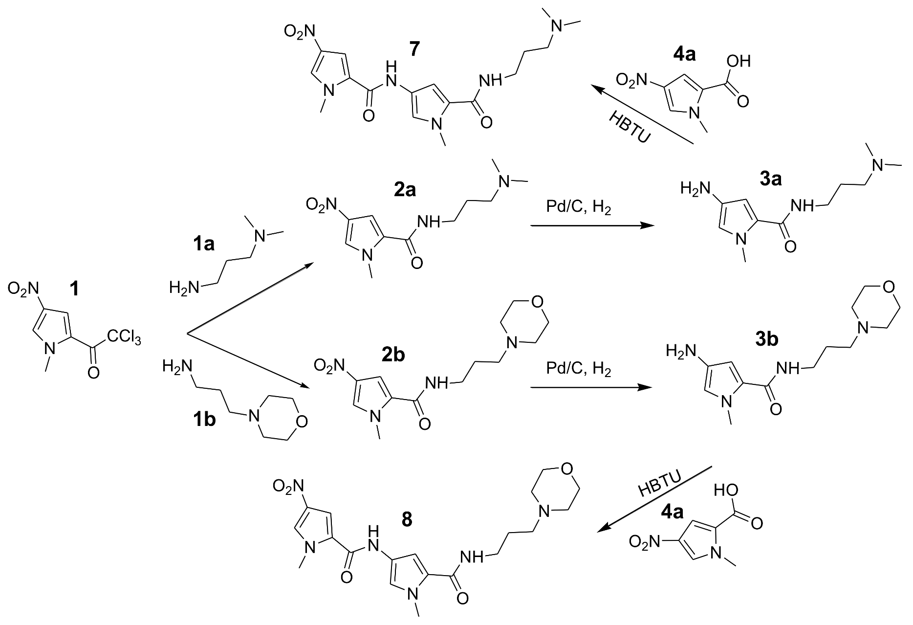 Antibiotics 11 00935 sch003 550