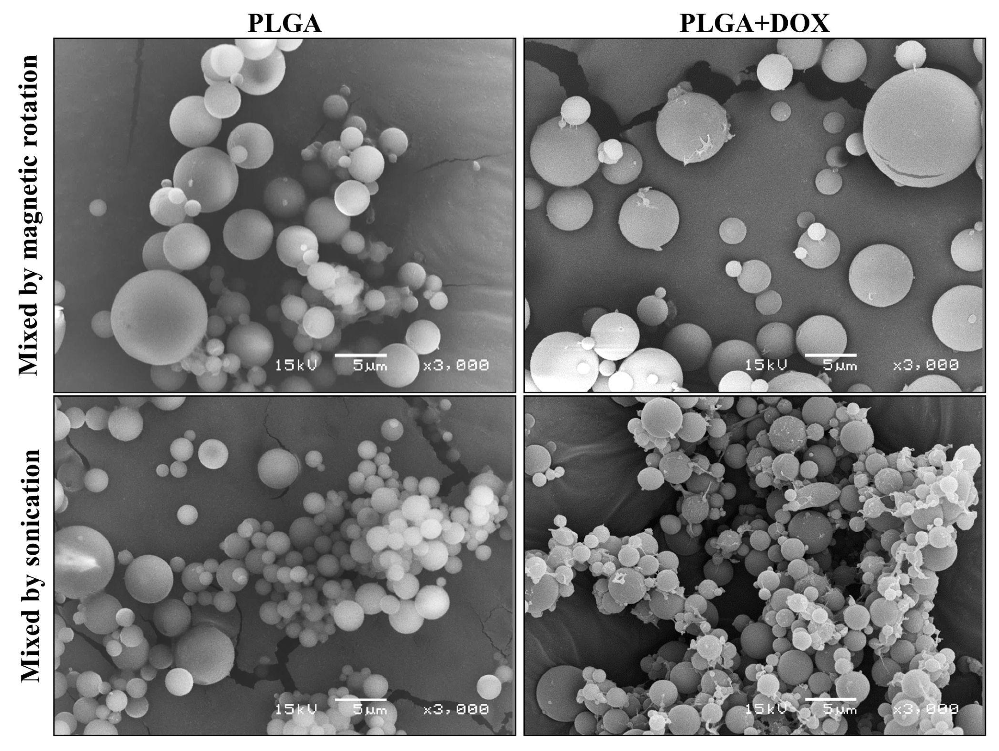 Antibiotics 11 00945 g003 550