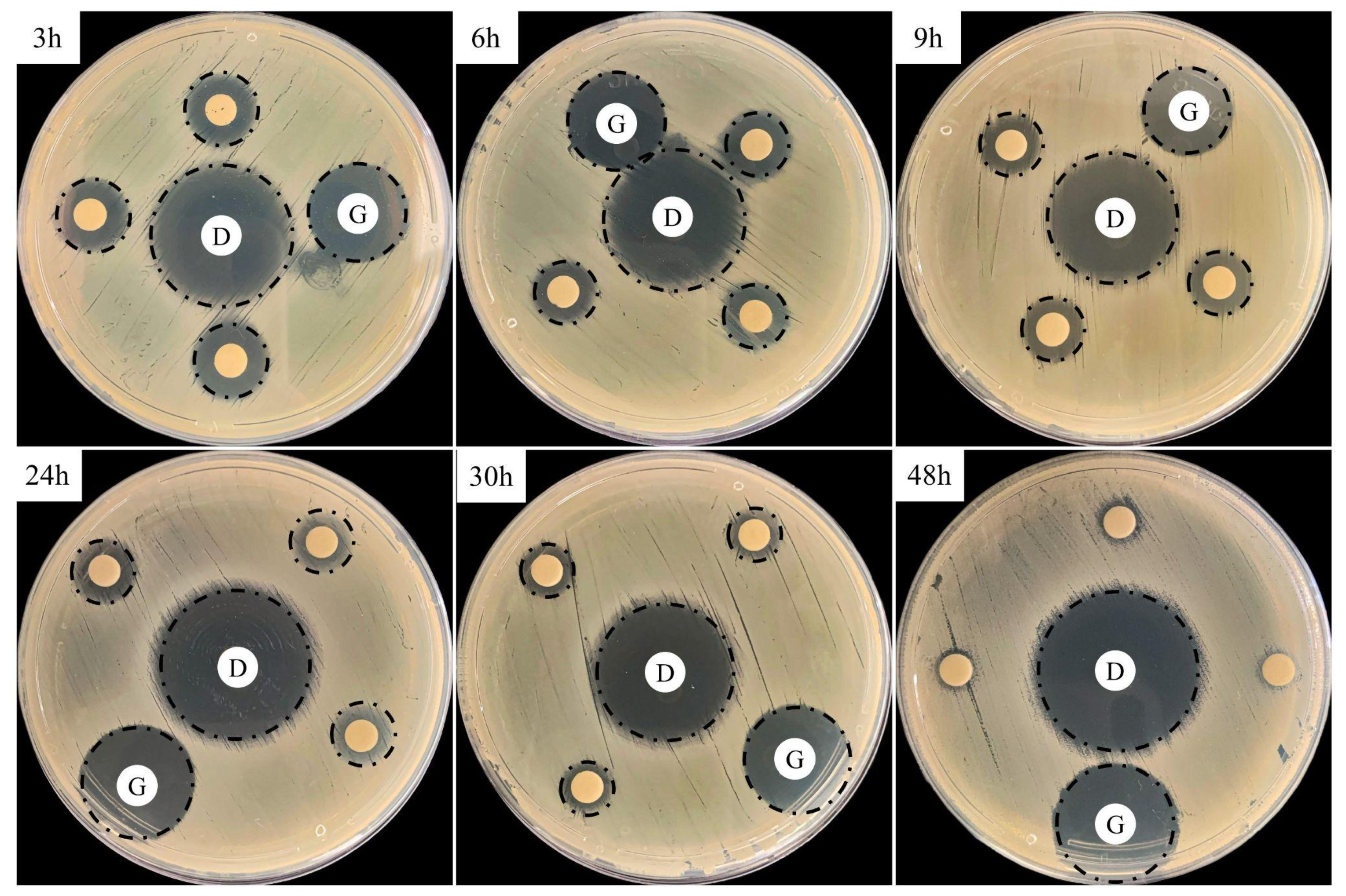 Antibiotics 11 00945 g007 550