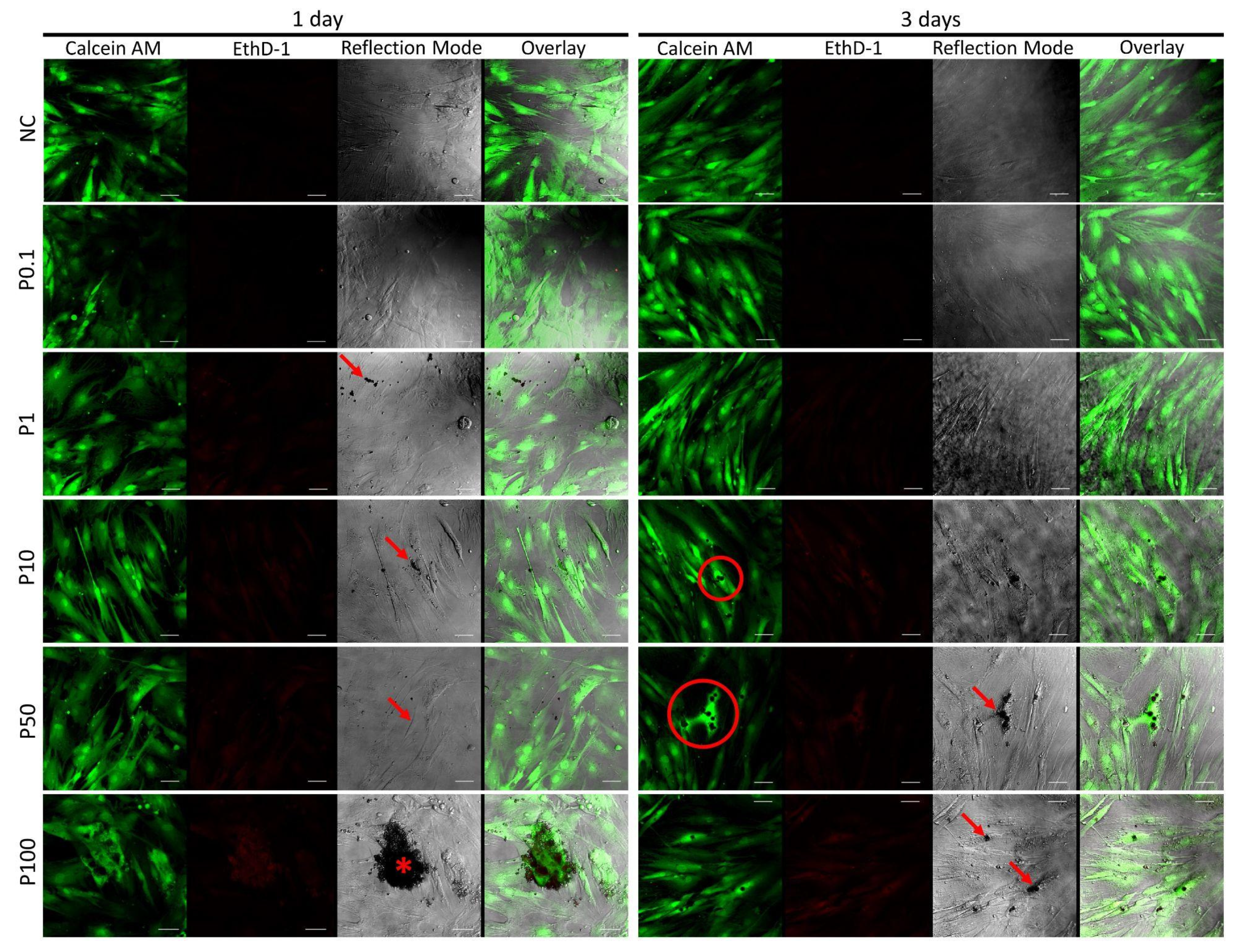 Antibiotics 11 00945 g009 550