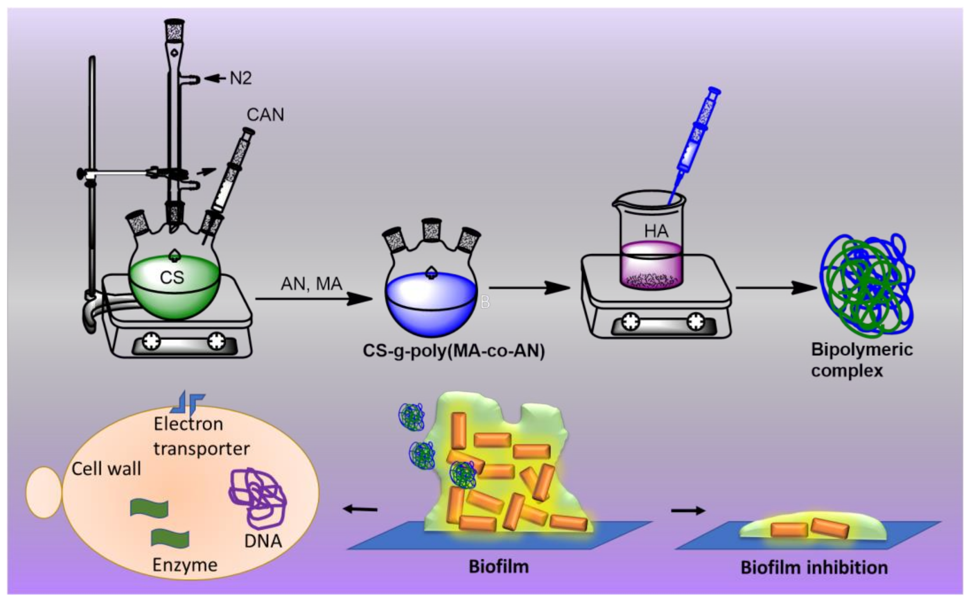 Antibiotics 11 00950 sch001