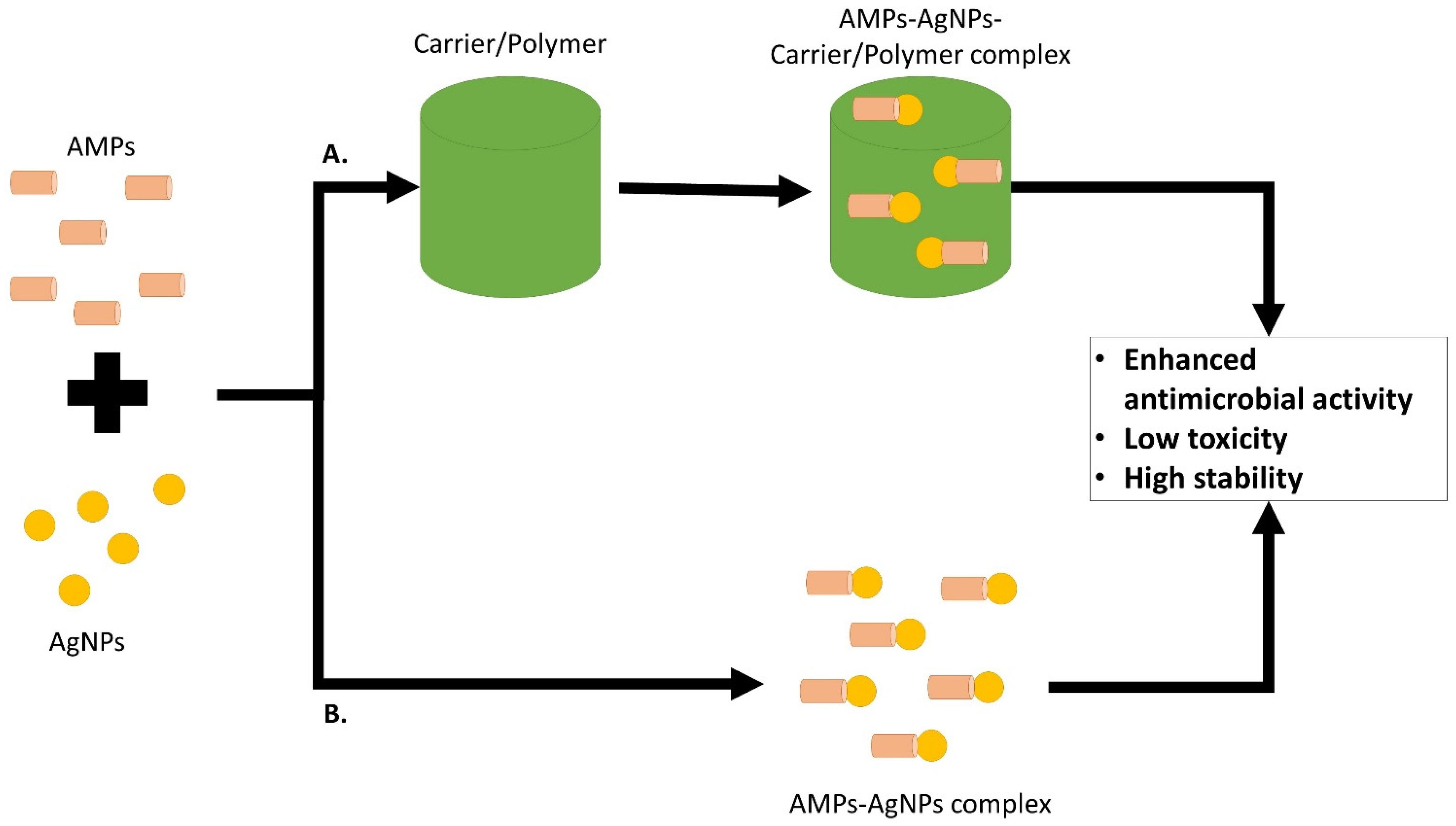 Antibiotics 11 00951 g005 Antibiotics 11 00951 g005
