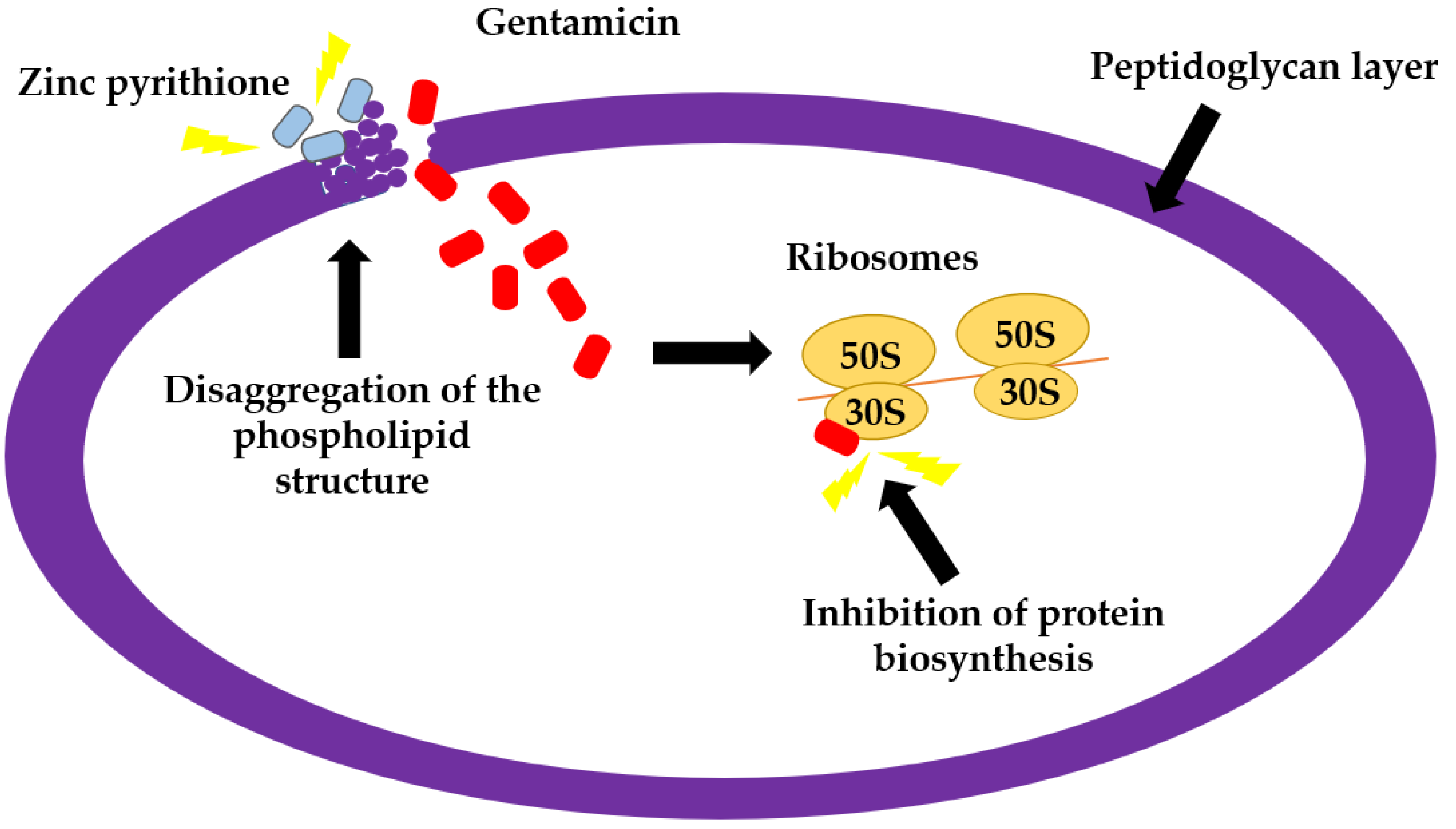 Antibiotics Free FullText In Vitro GrowthInhibitory Synergistic