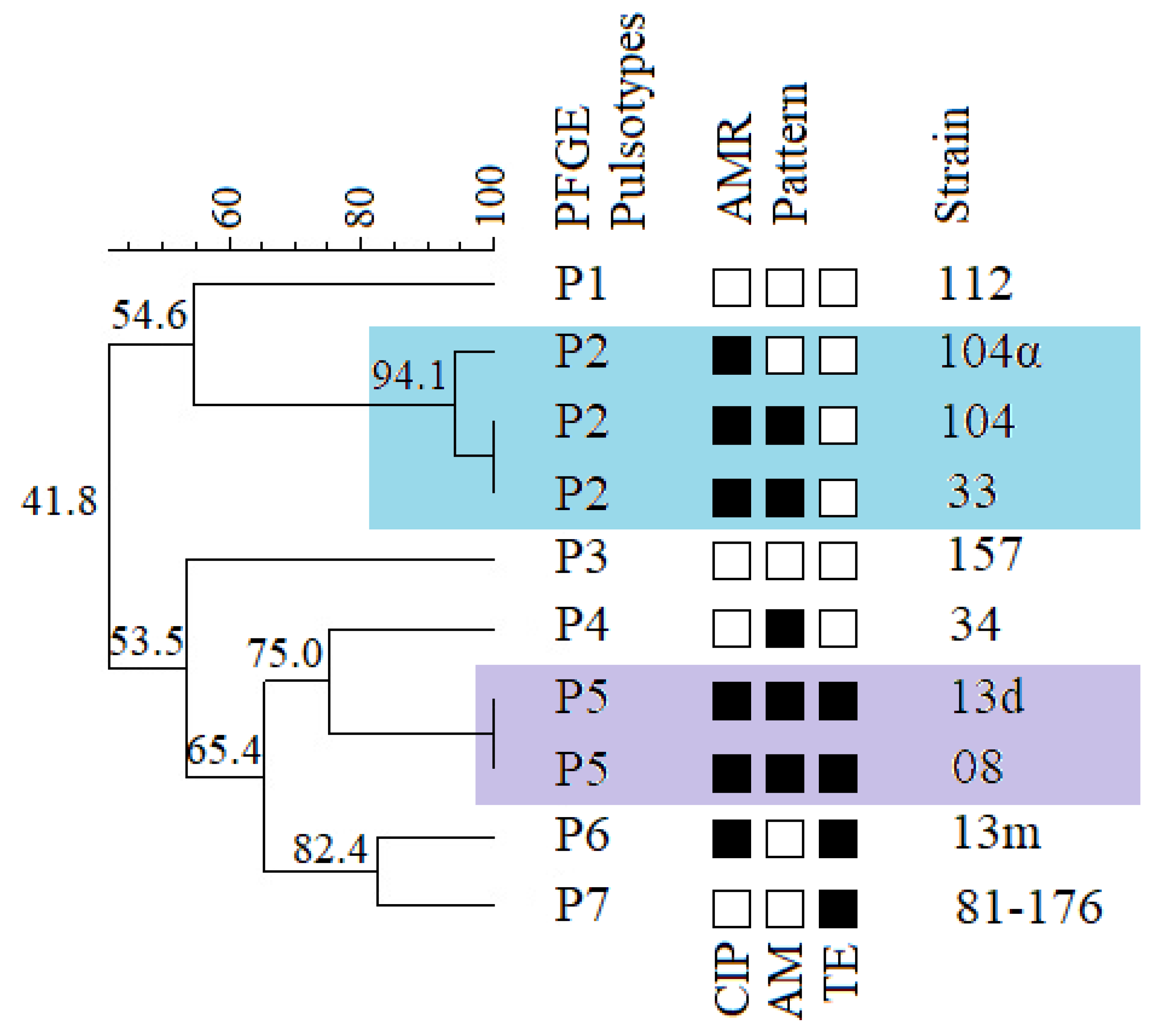 Antibiotics 11 00964 g002 Antibiotics 11 00964 g002