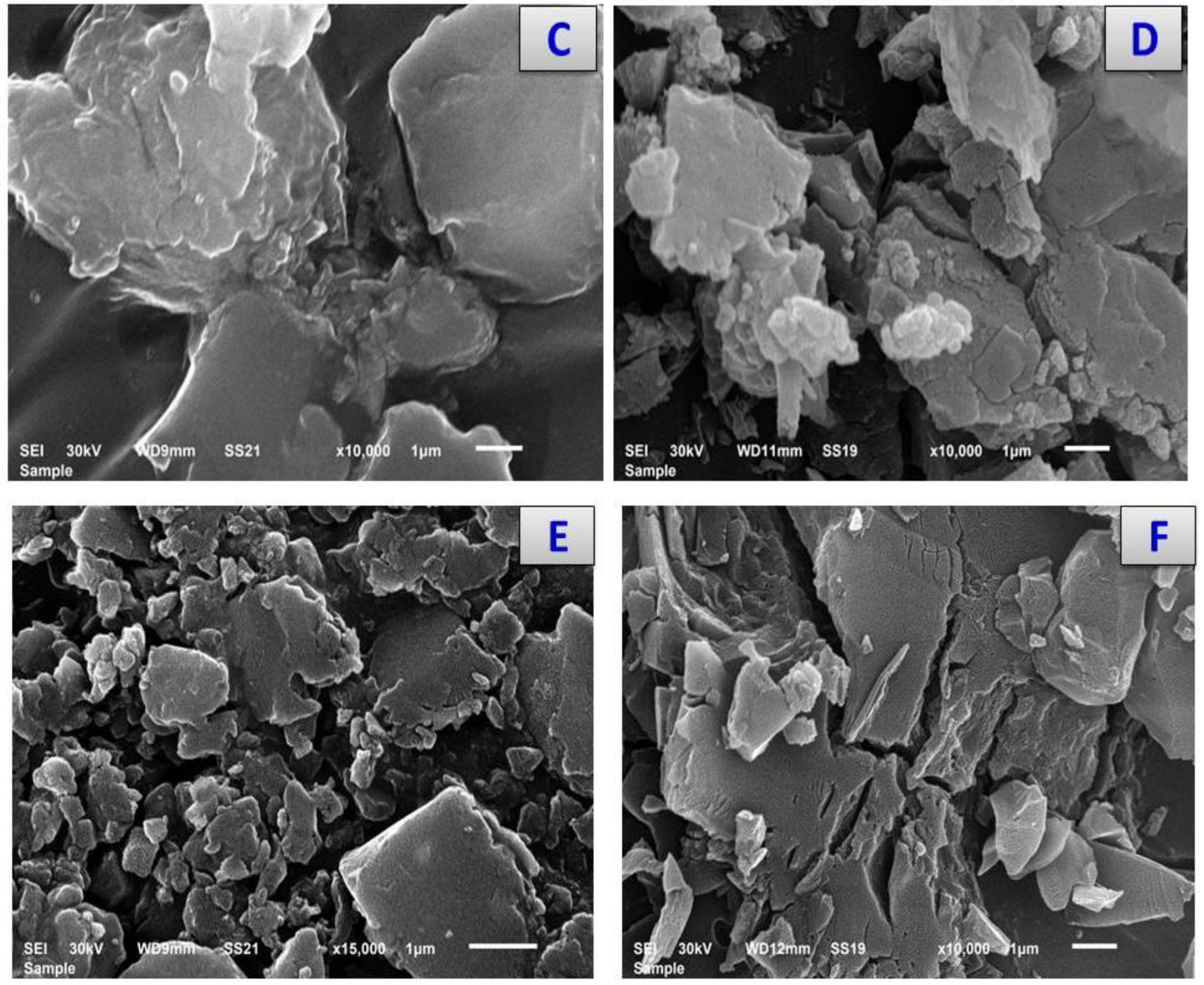 Antibiotics 11 00967 g006b Antibiotics 11 00967 g006b