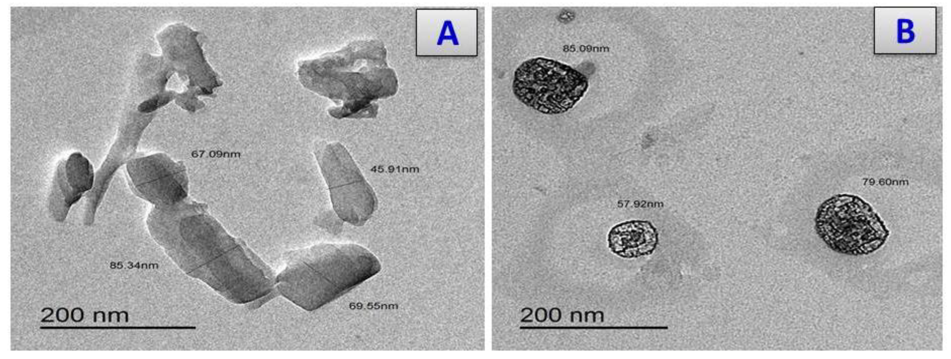 Antibiotics 11 00967 g007a Antibiotics 11 00967 g007a