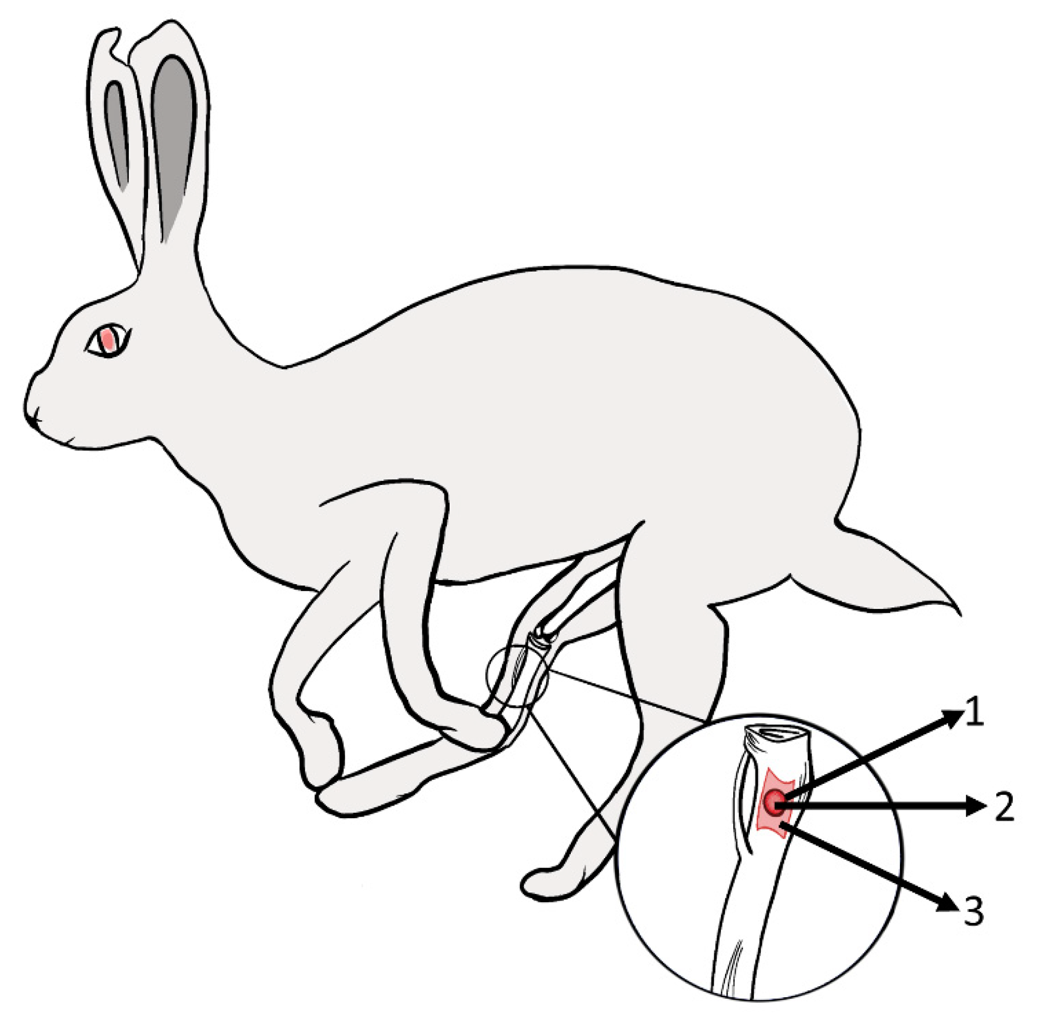 Antibiotics 11 00969 g001 Antibiotics 11 00969 g001