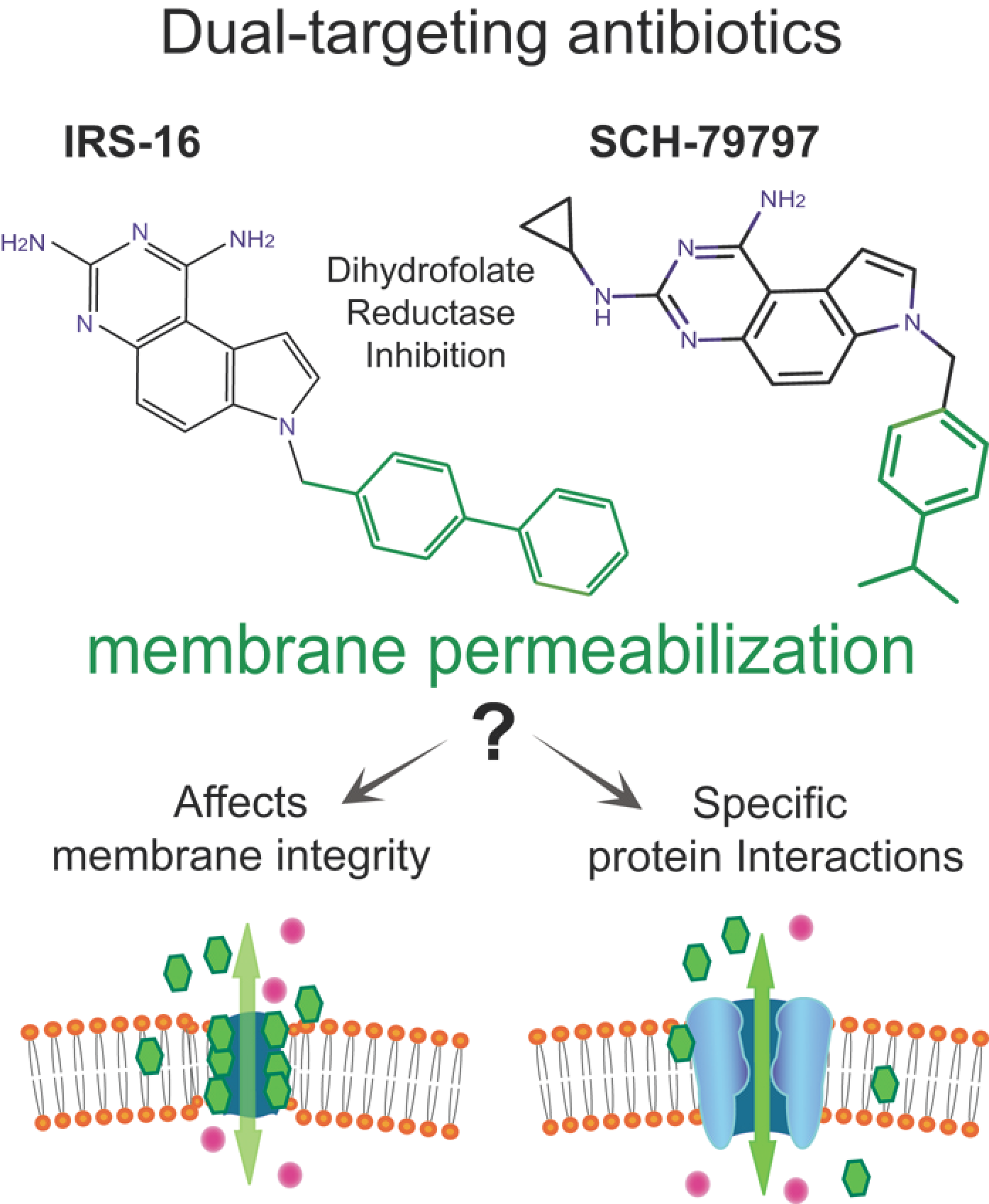 Antibiotics 11 00970 g001 550