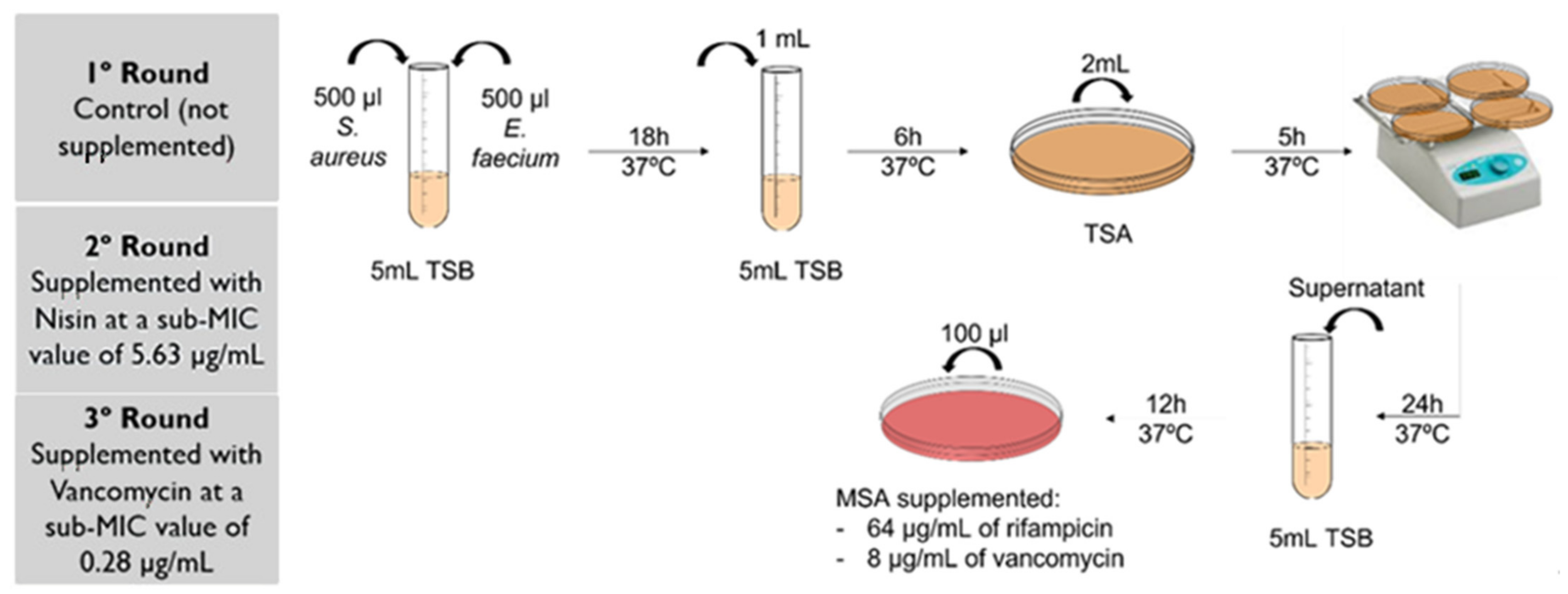Antibiotics 11 00972 g004