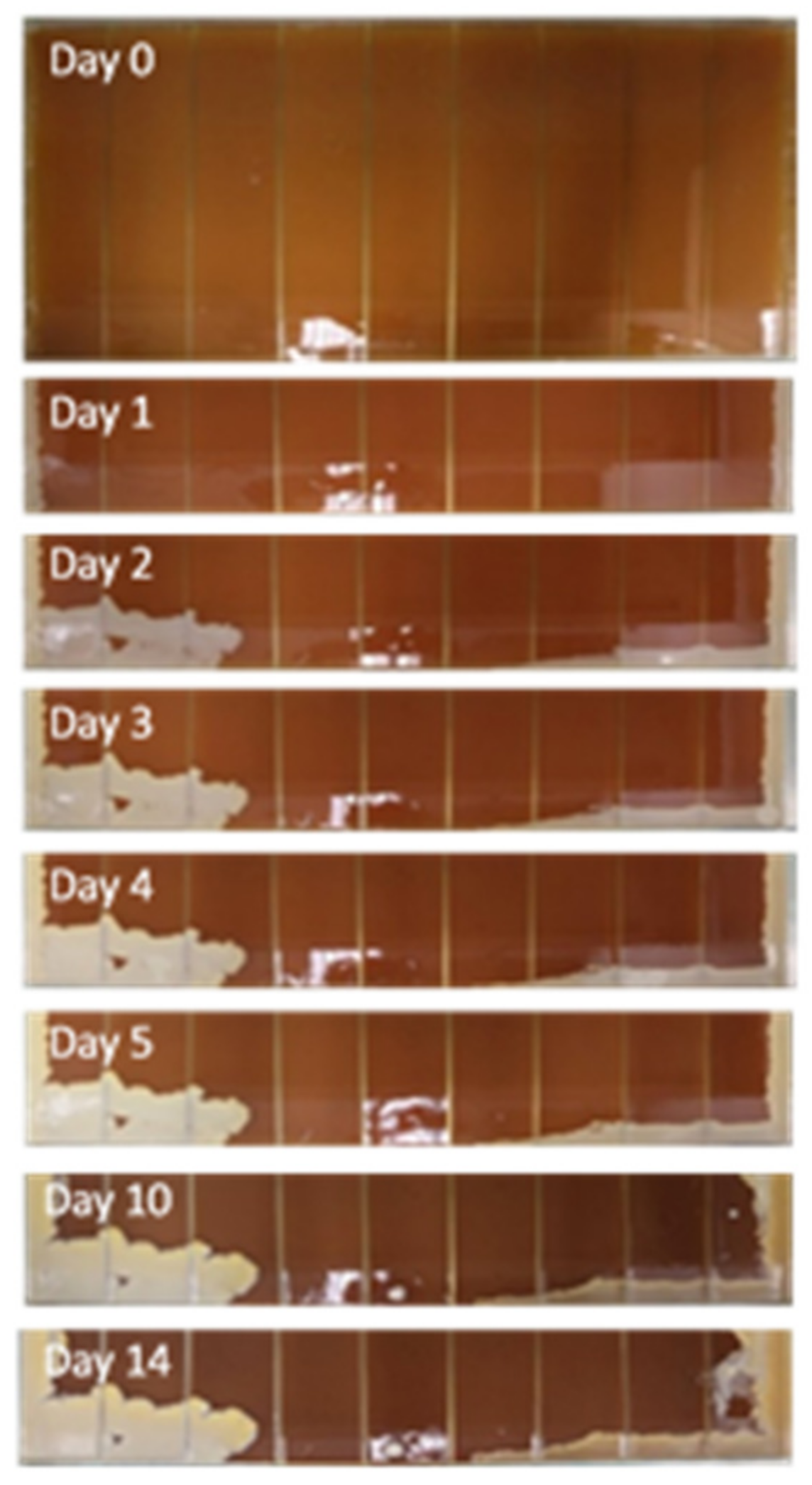 Antibiotics 11 00972 g006