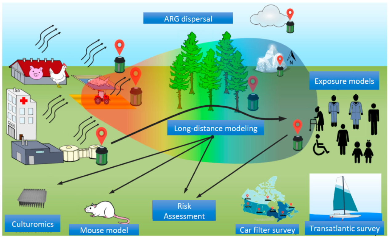 Antibiotics 11 00974 g001 550