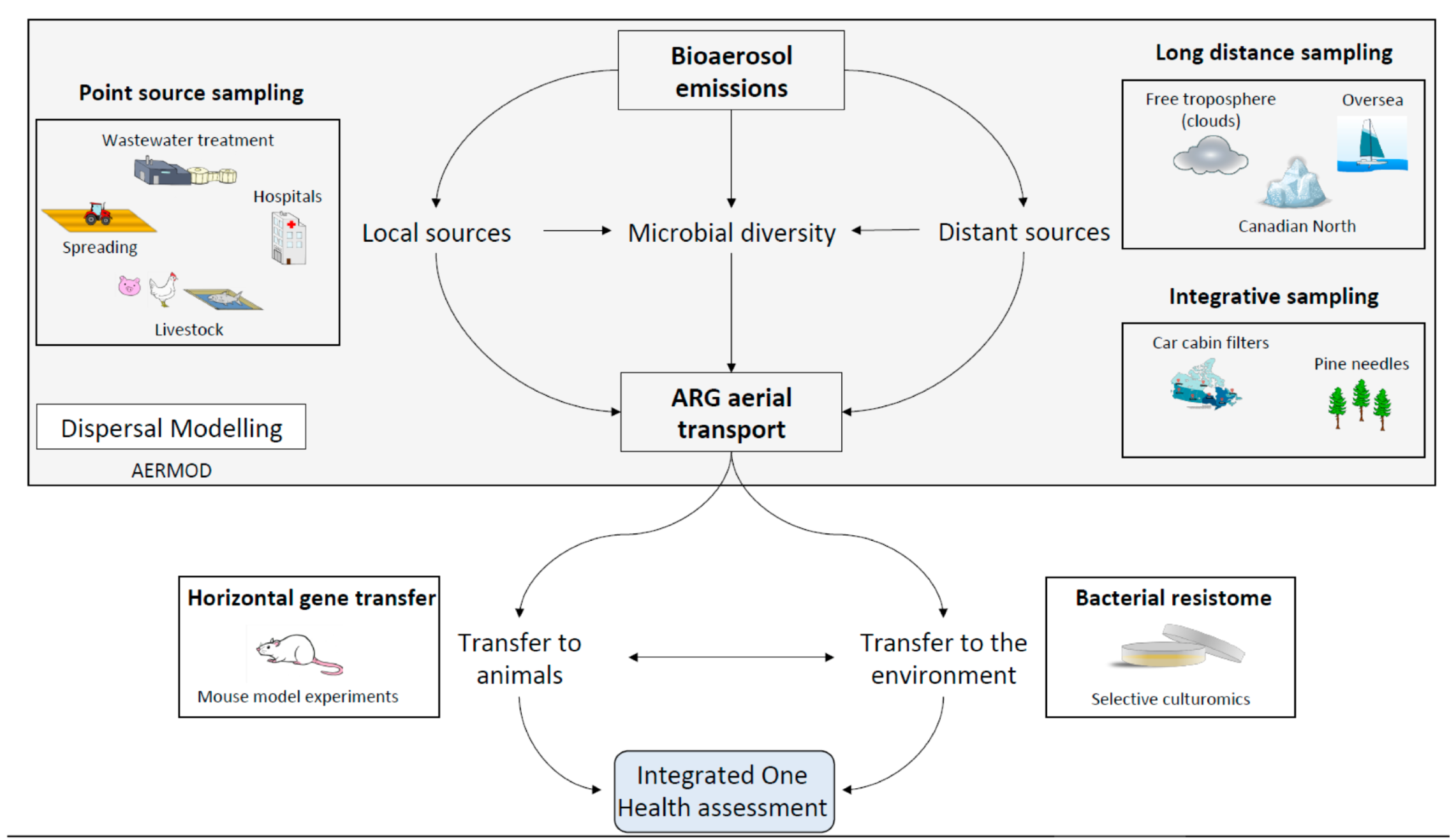 Antibiotics 11 00974 g002 550