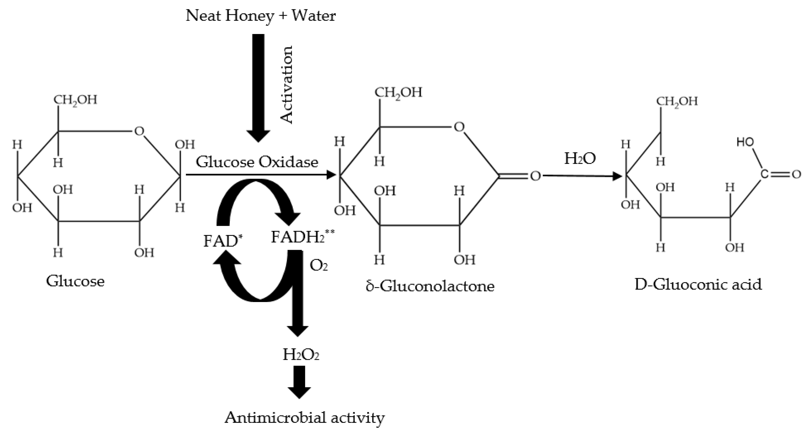 Antibiotics 11 00975 g002