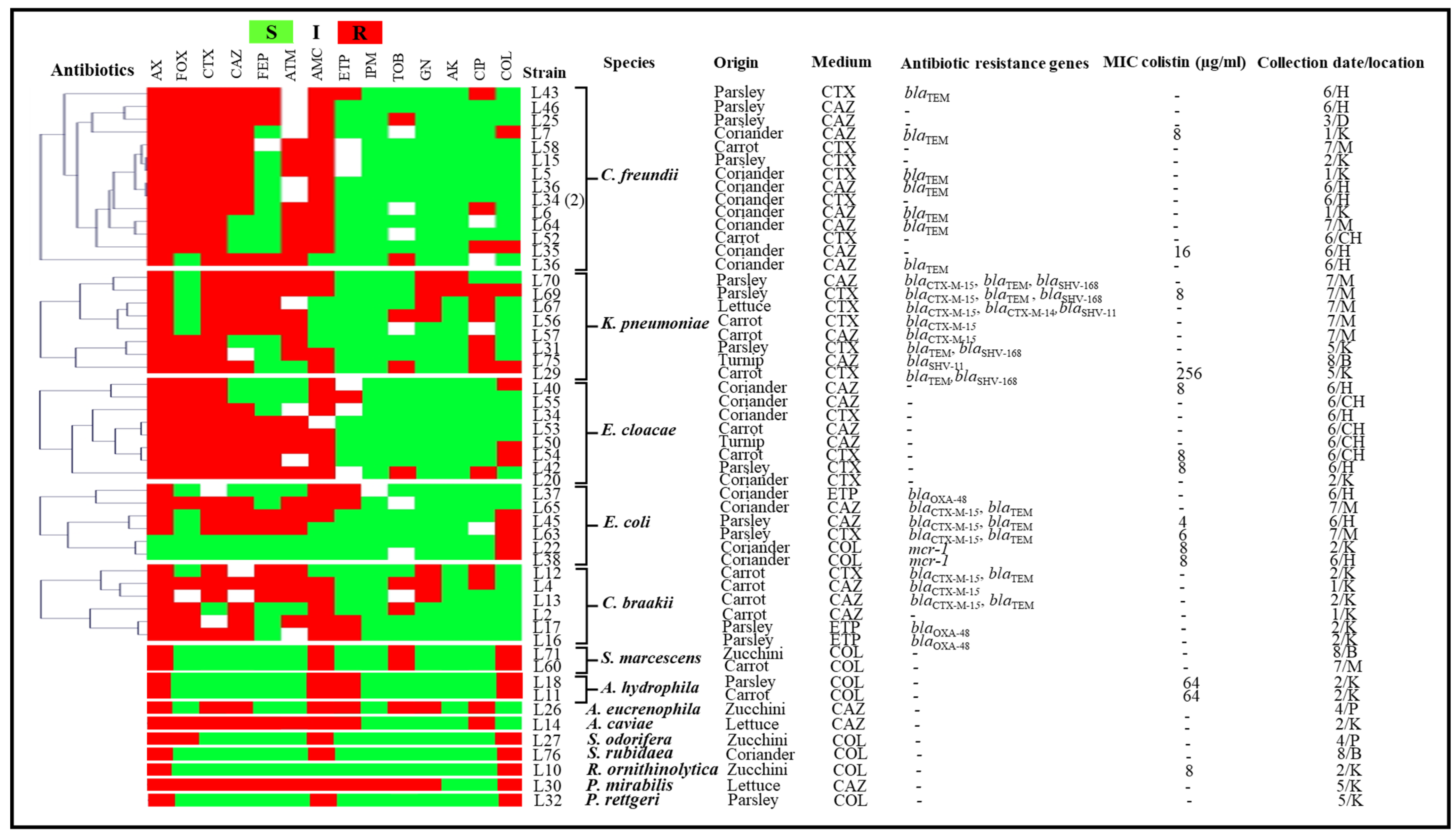 Antibiotics 11 00988 g001 Antibiotics 11 00988 g001