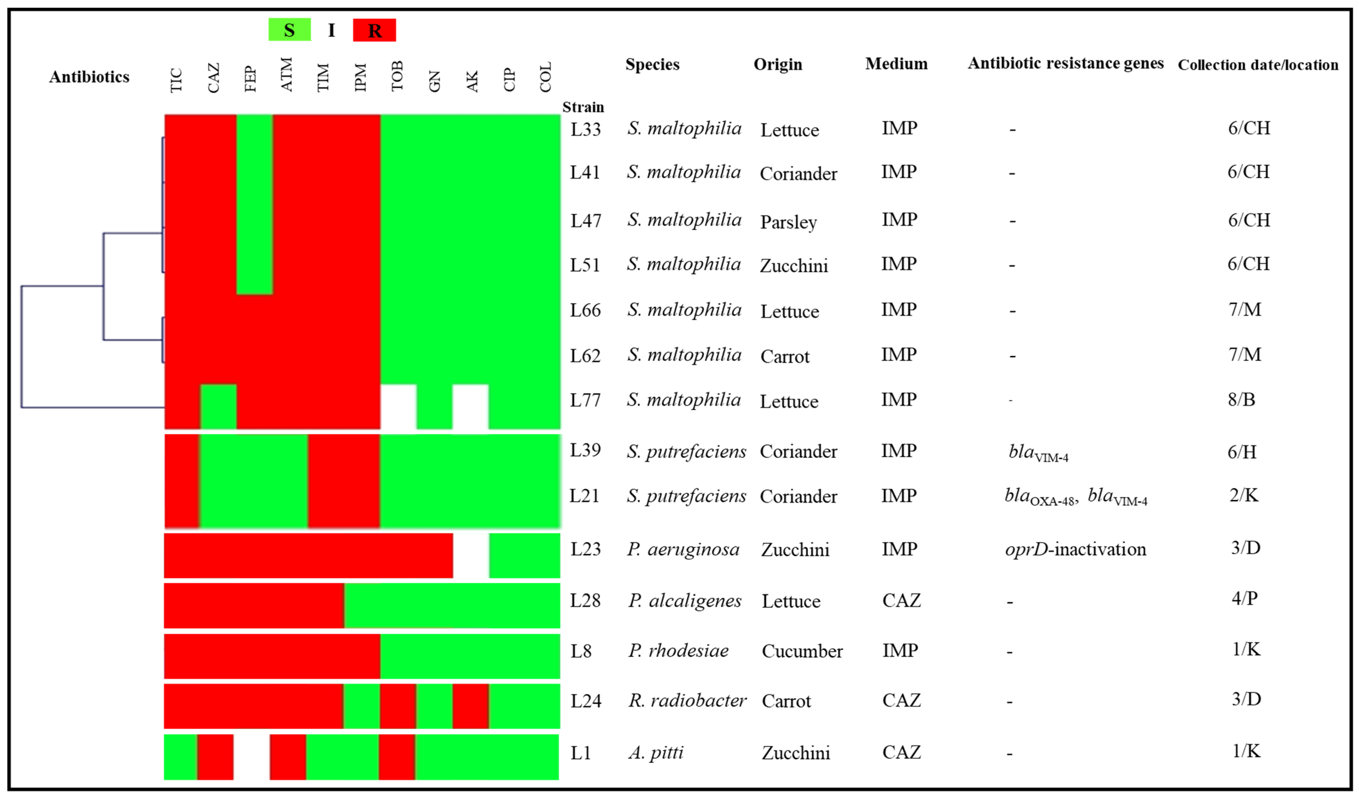 Antibiotics 11 00988 g002 Antibiotics 11 00988 g002