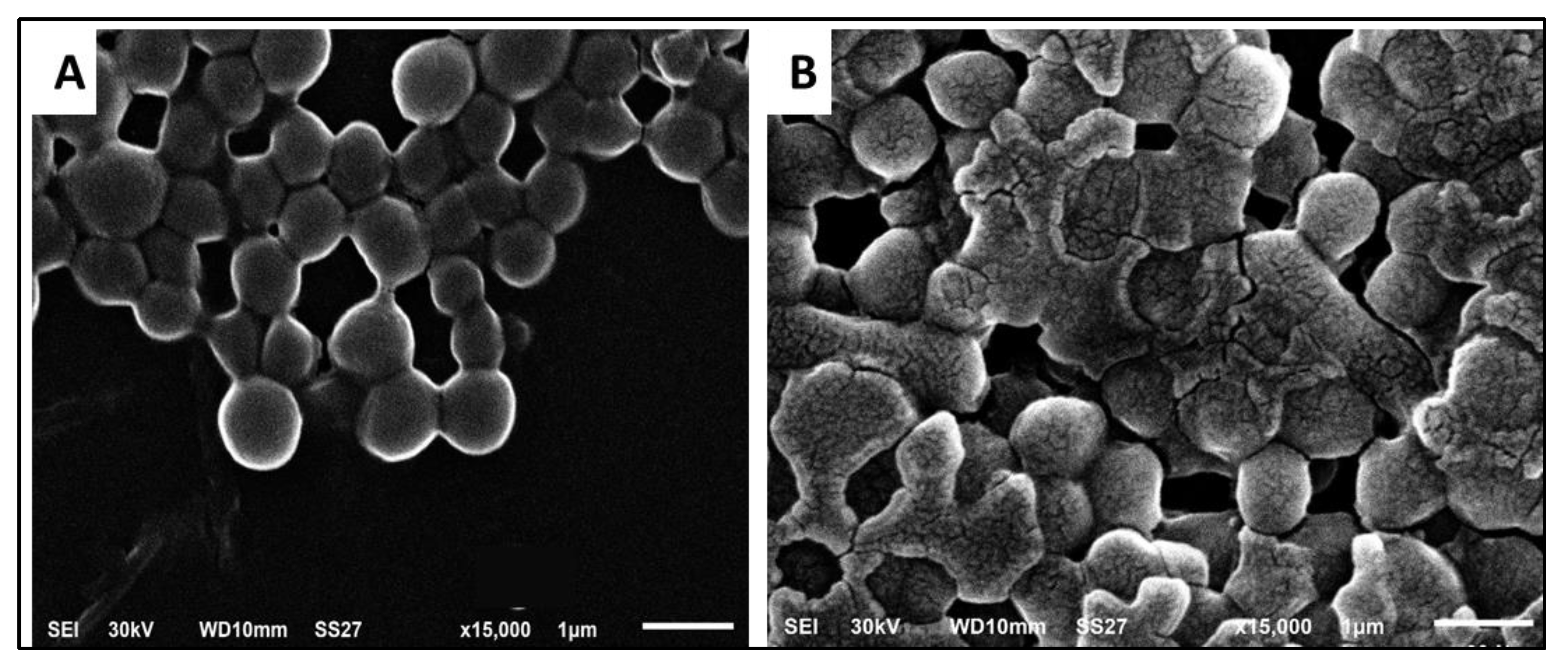 Antibiotics 11 00993 g008