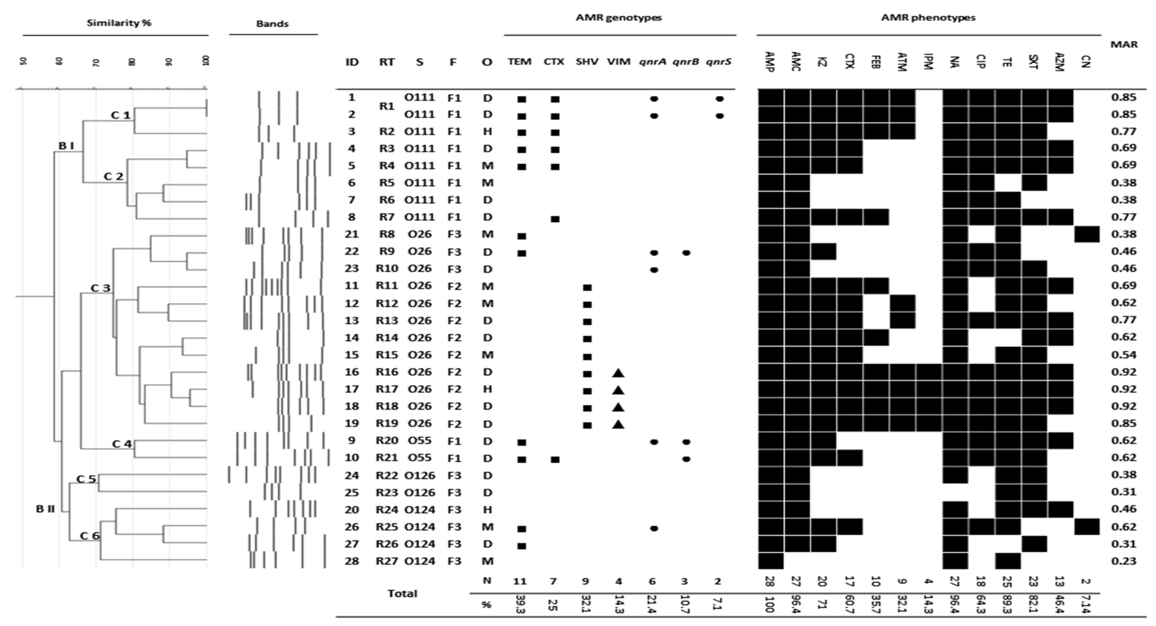 Antibiotics 11 00999 g001