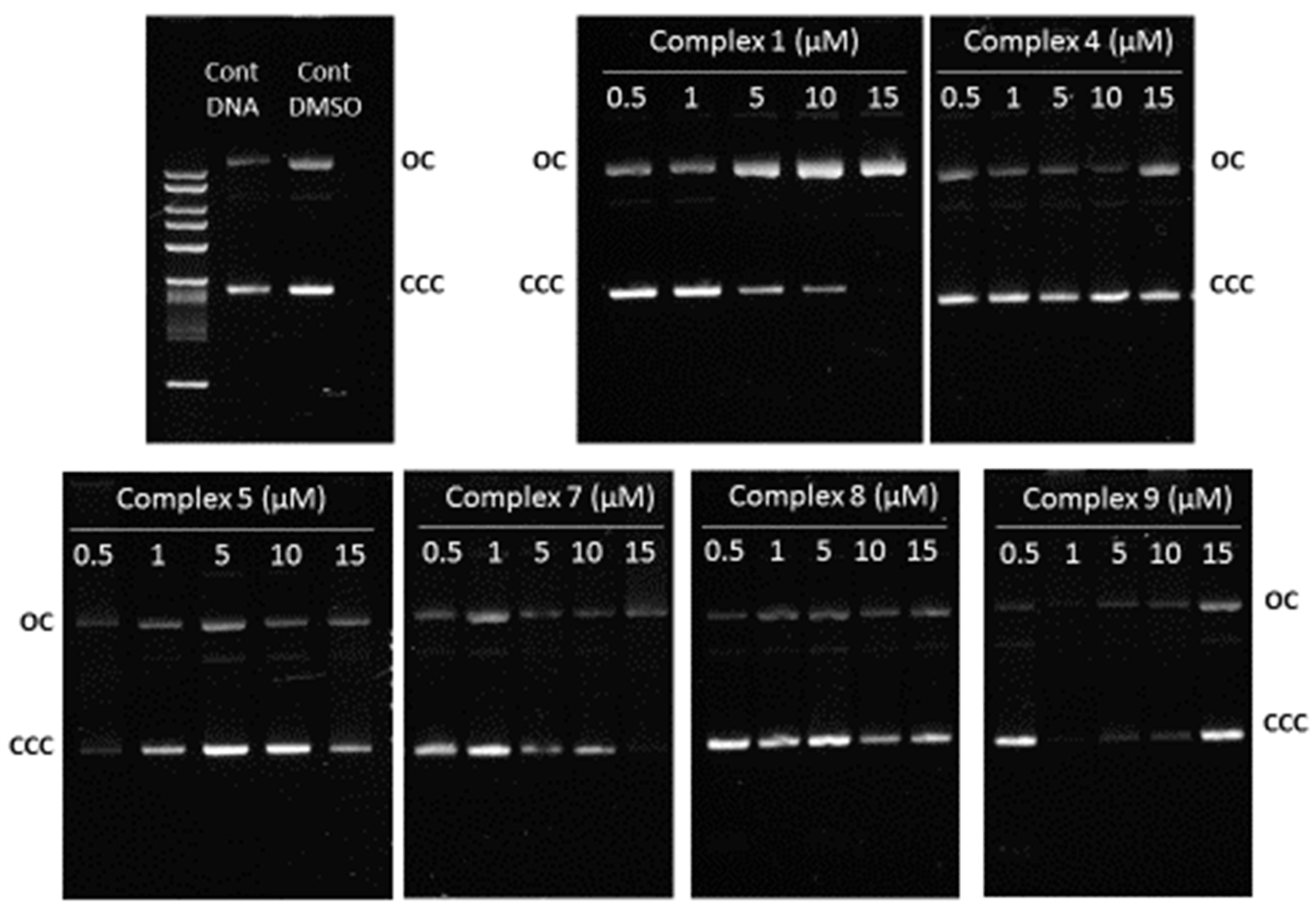 Antibiotics 11 01010 g005