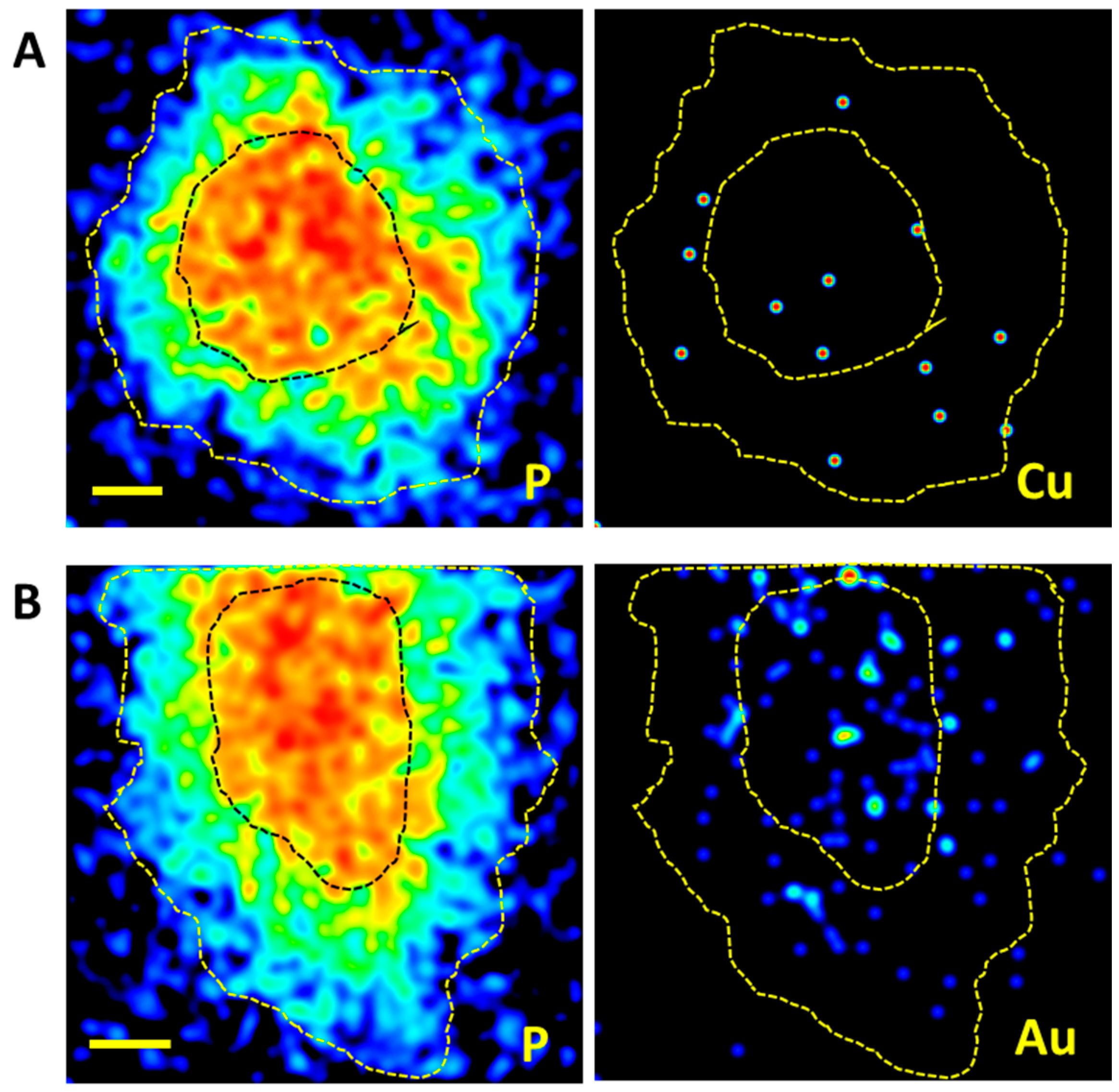 Antibiotics 11 01010 g009