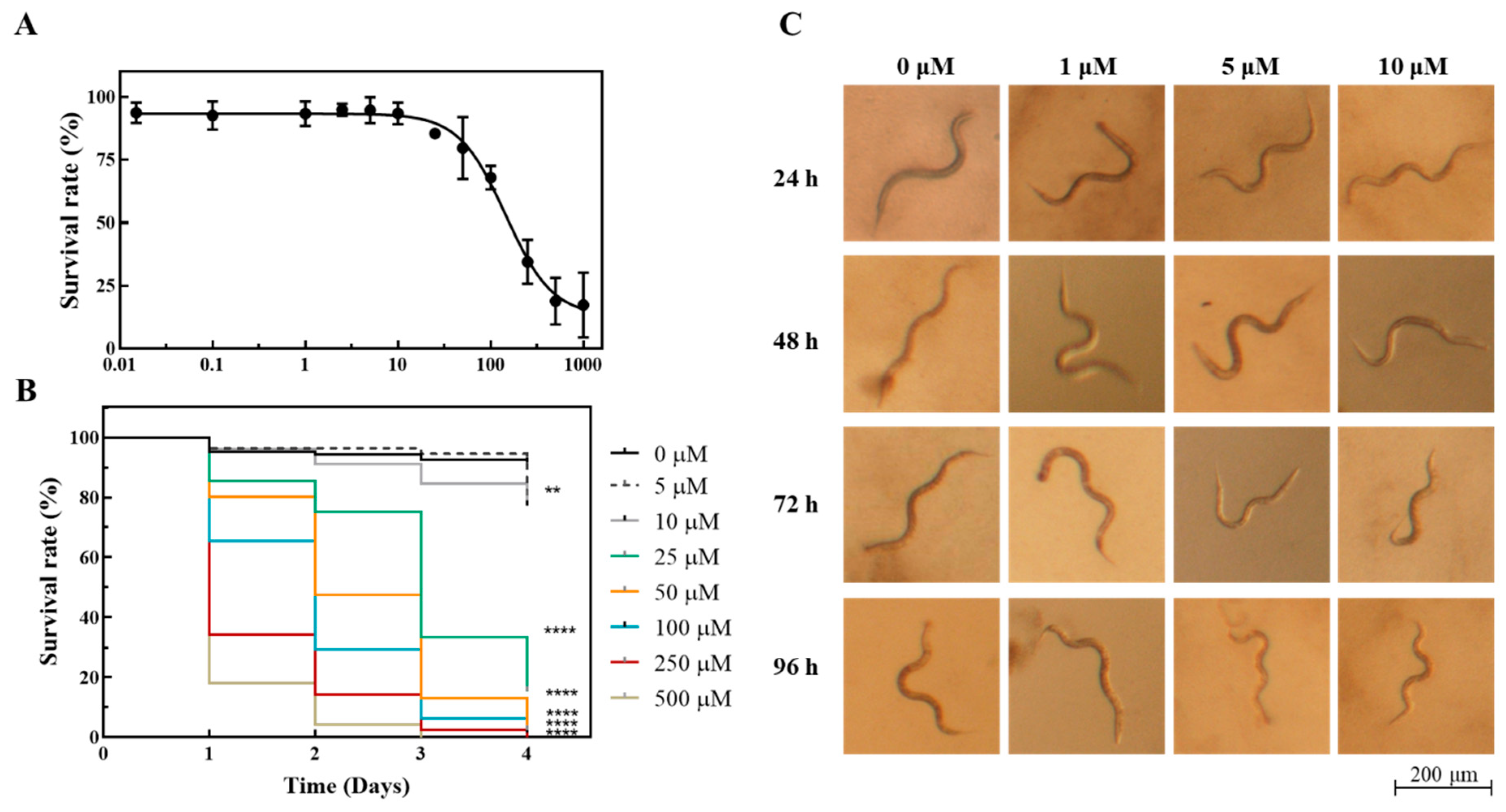 Antibiotics 11 01010 g010