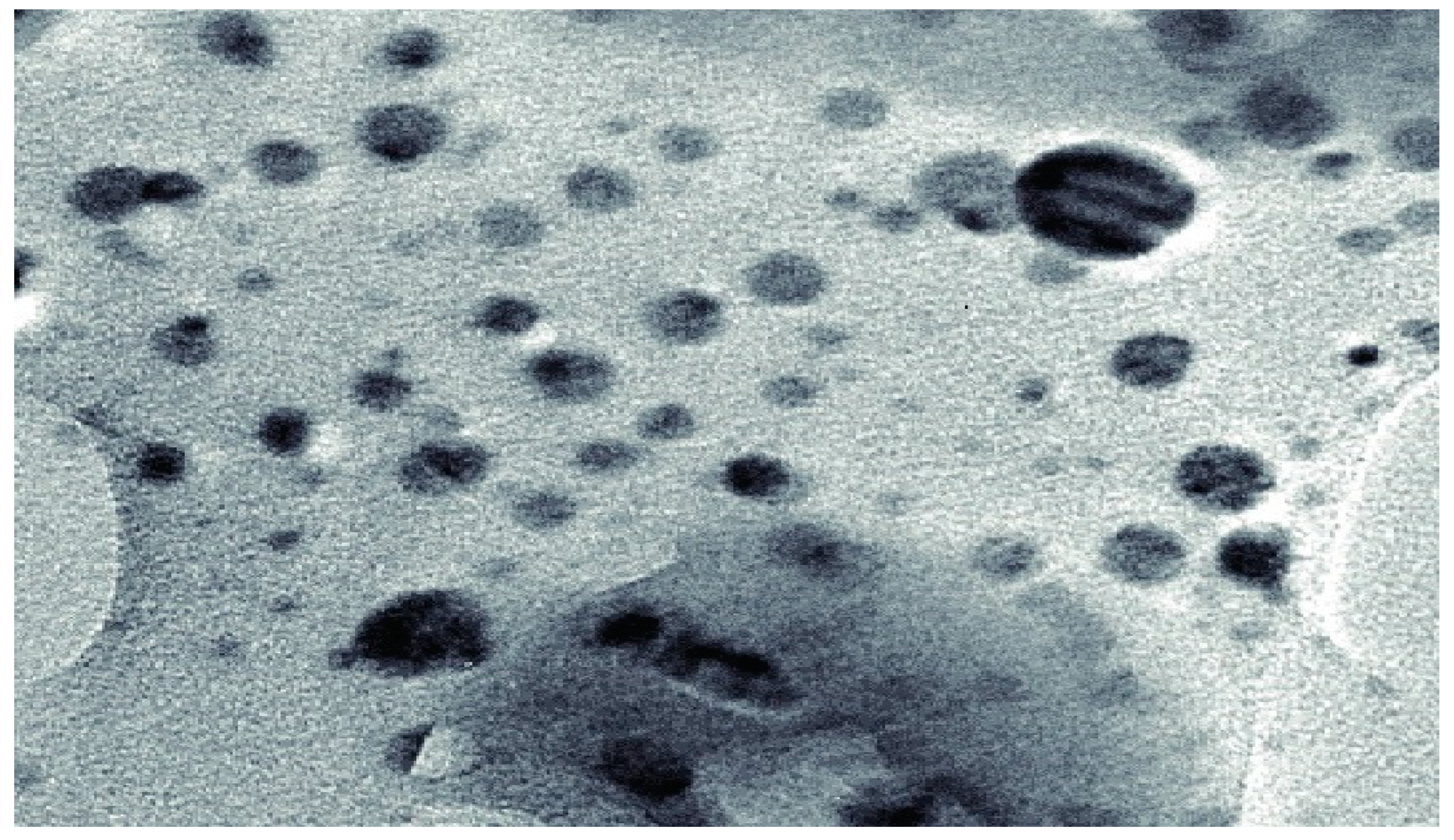 Antibiotics 11 01024 g004