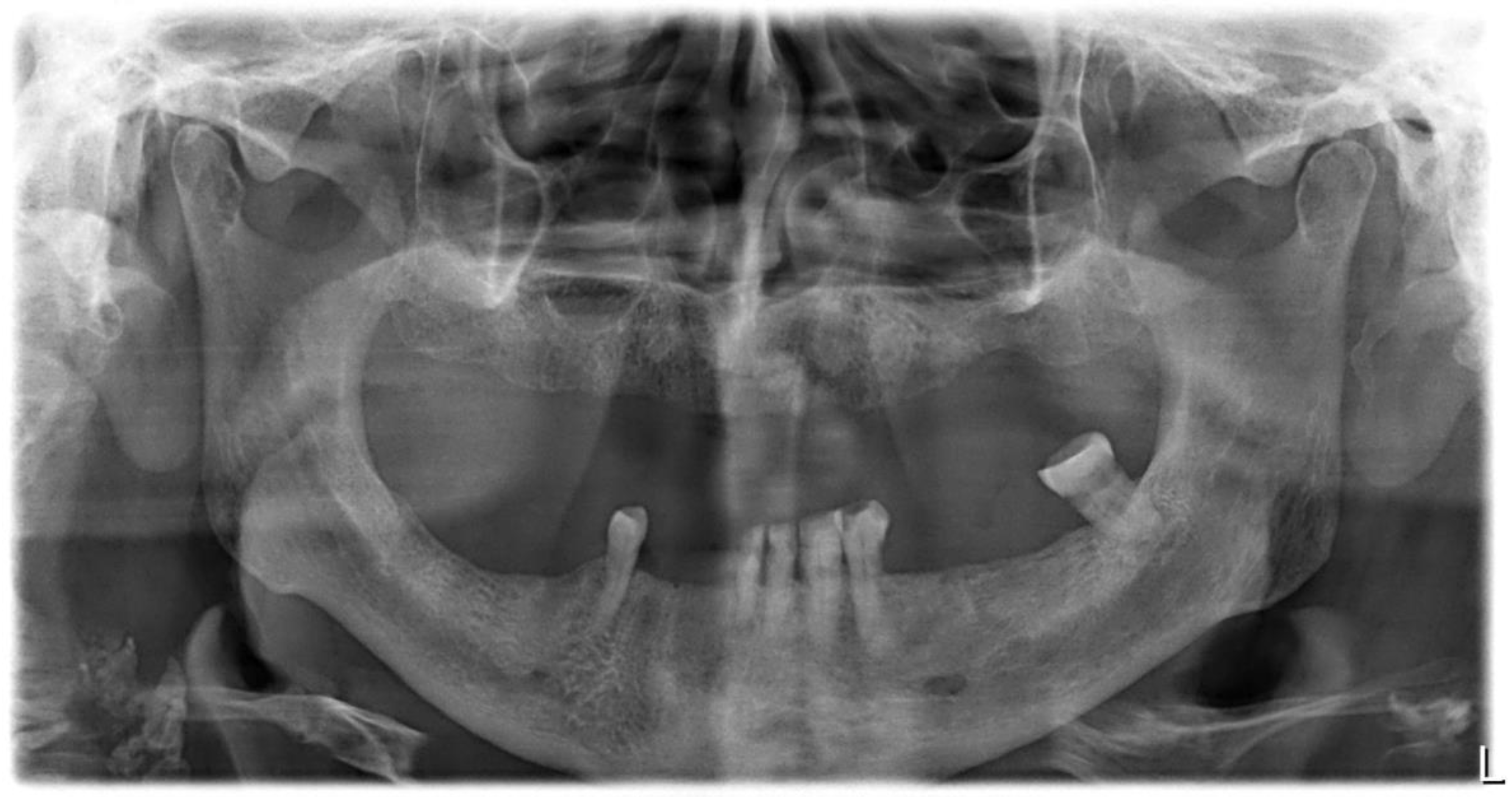 Antibiotics 11 01025 g001 Antibiotics 11 01025 g001