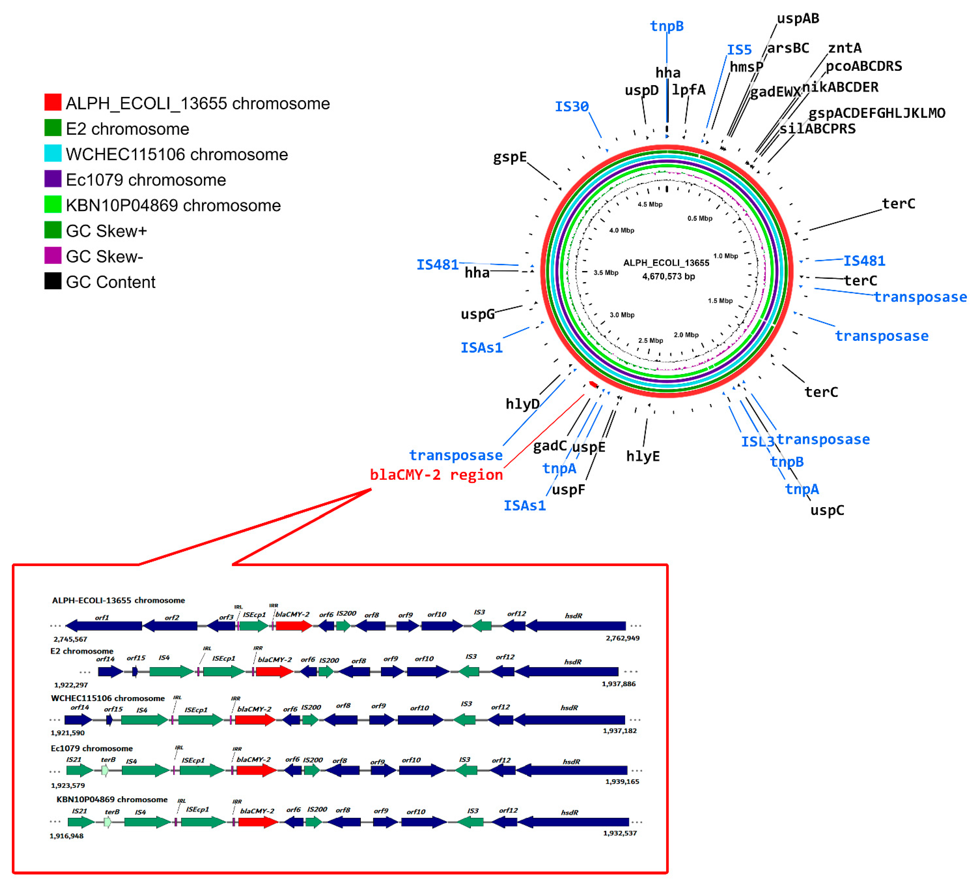 Antibiotics 11 01031 g006 Antibiotics 11 01031 g006