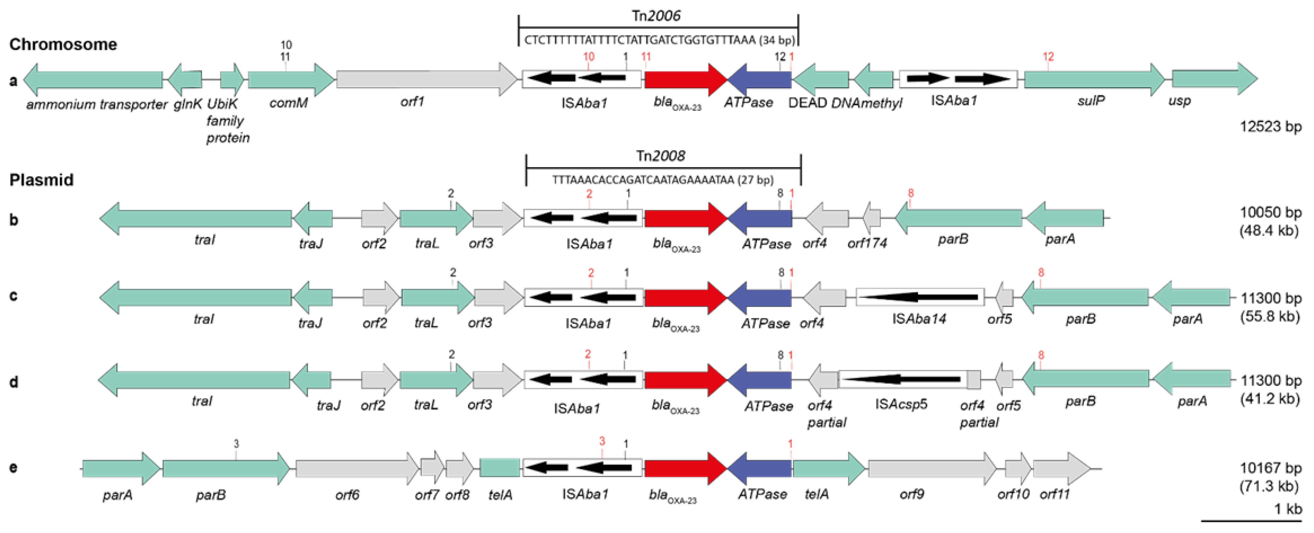 Antibiotics 11 01045 g003