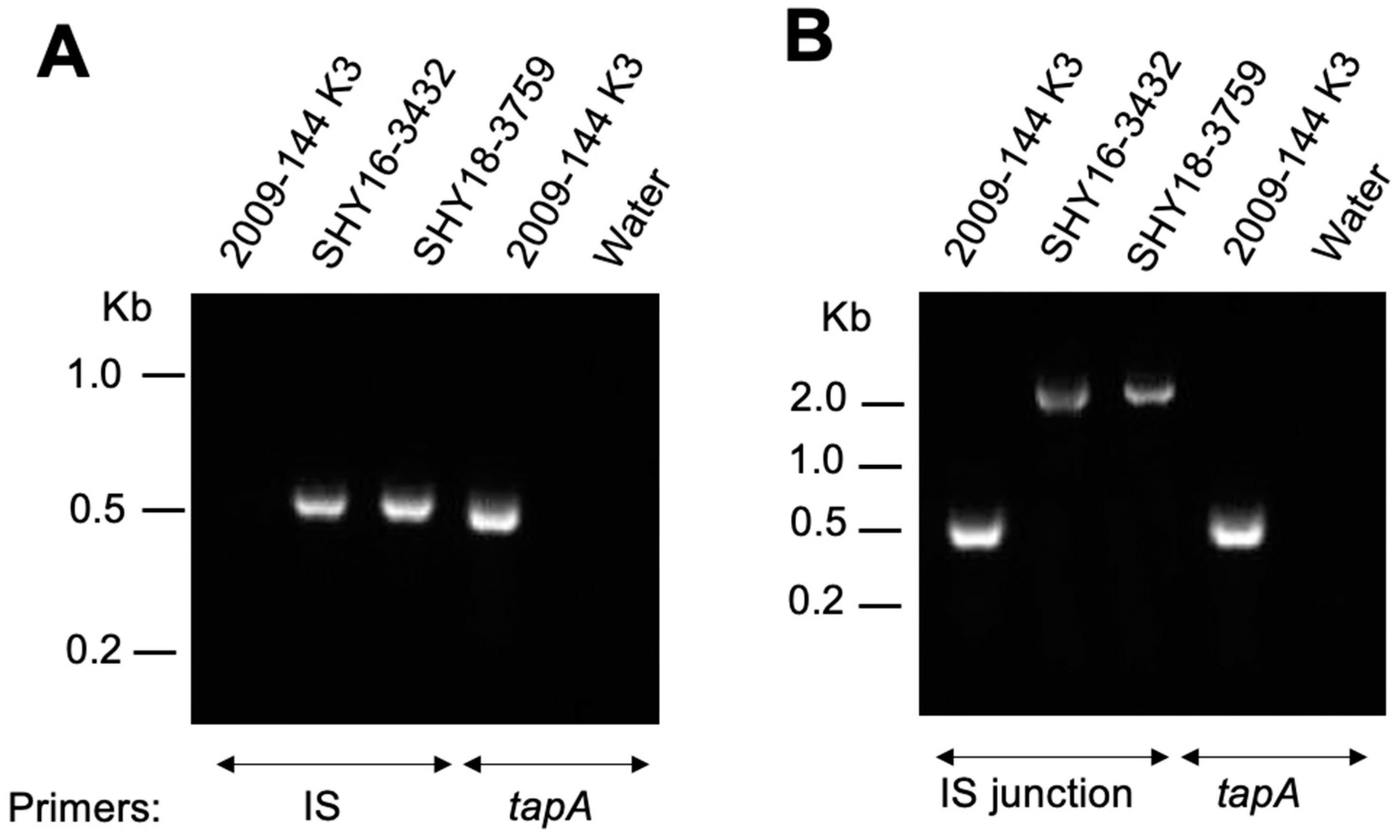 Antibiotics 11 01047 g001 Antibiotics 11 01047 g001