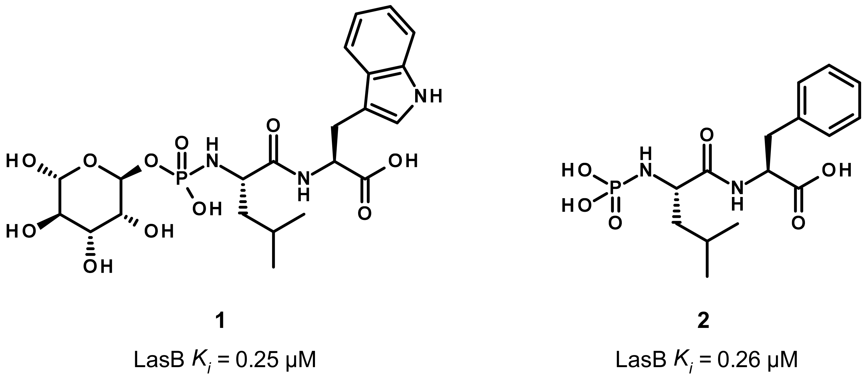 Antibiotics 11 01060 g002