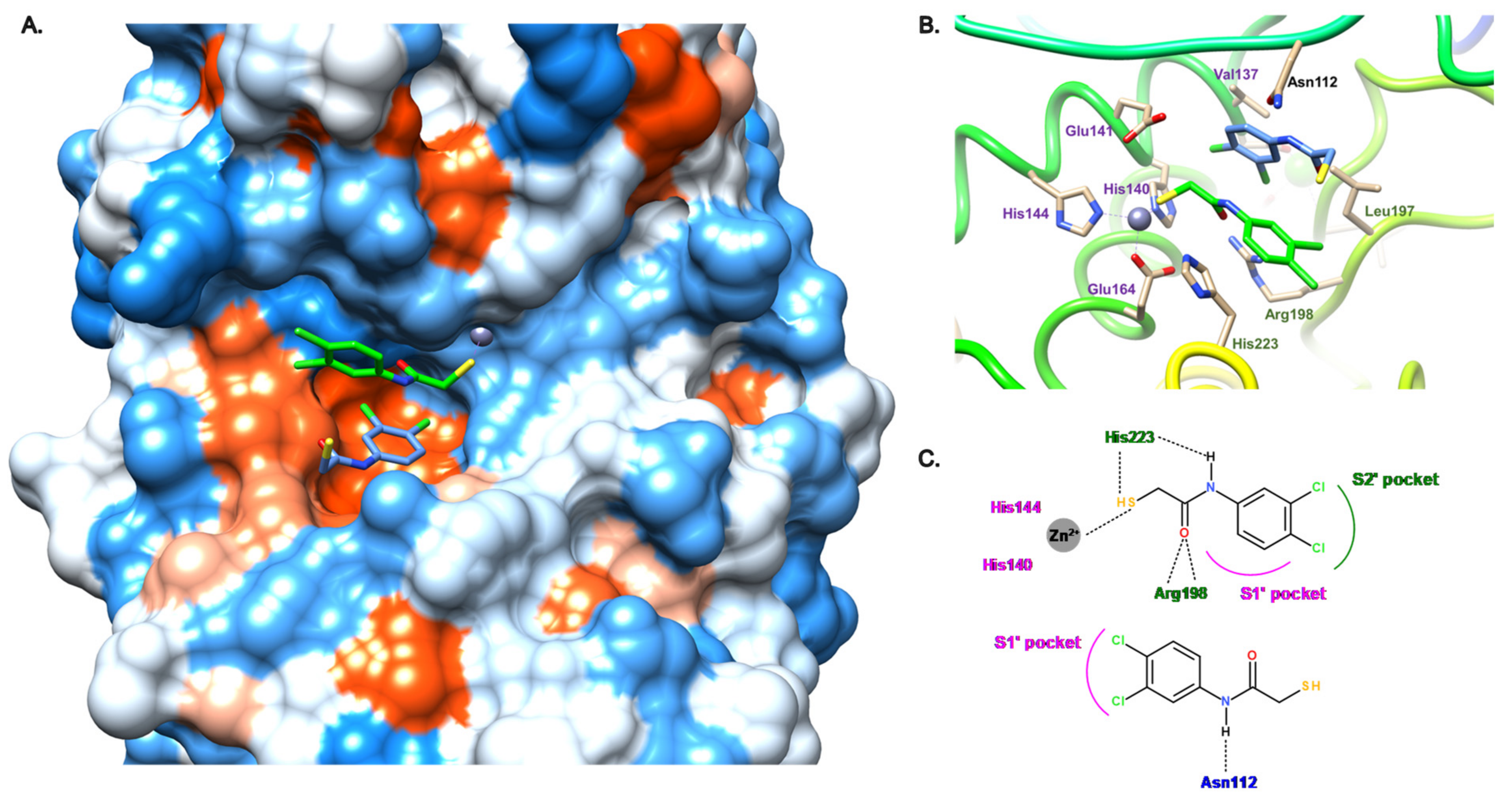 Antibiotics 11 01060 g007