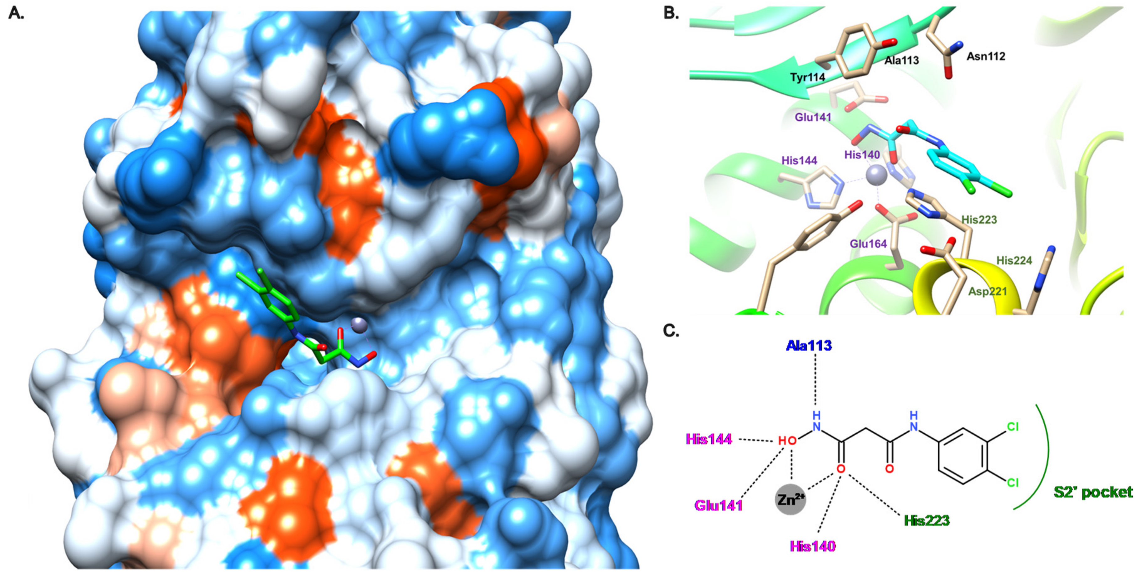 Antibiotics 11 01060 g010