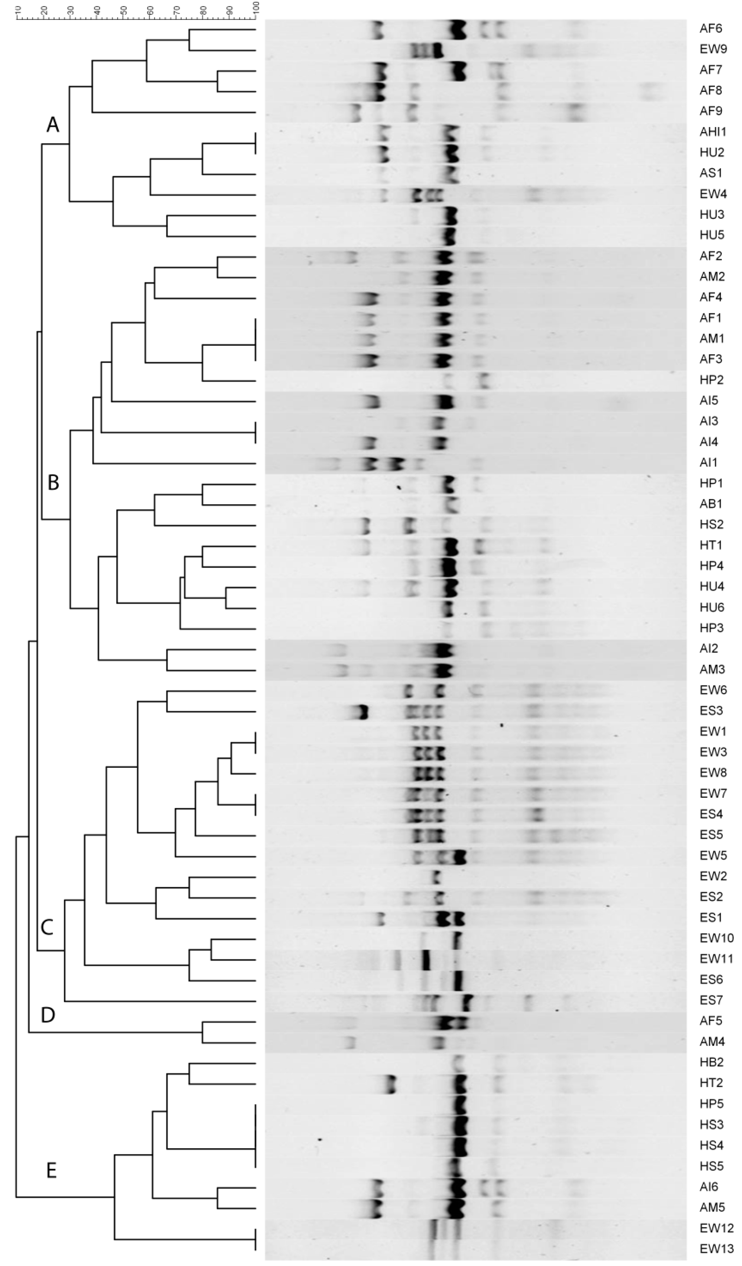 Antibiotics 11 01061 g003 Antibiotics 11 01061 g003