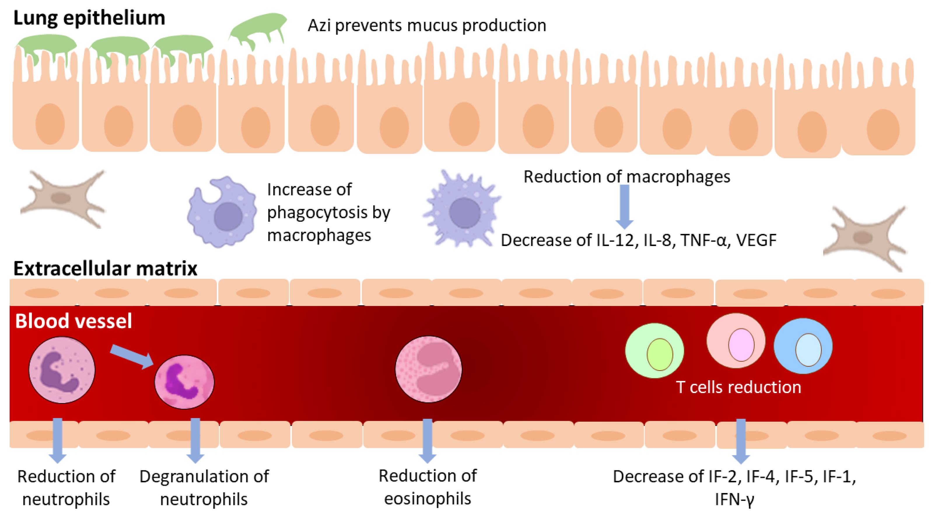 Antibiotics 11 01063 g003 Antibiotics 11 01063 g003