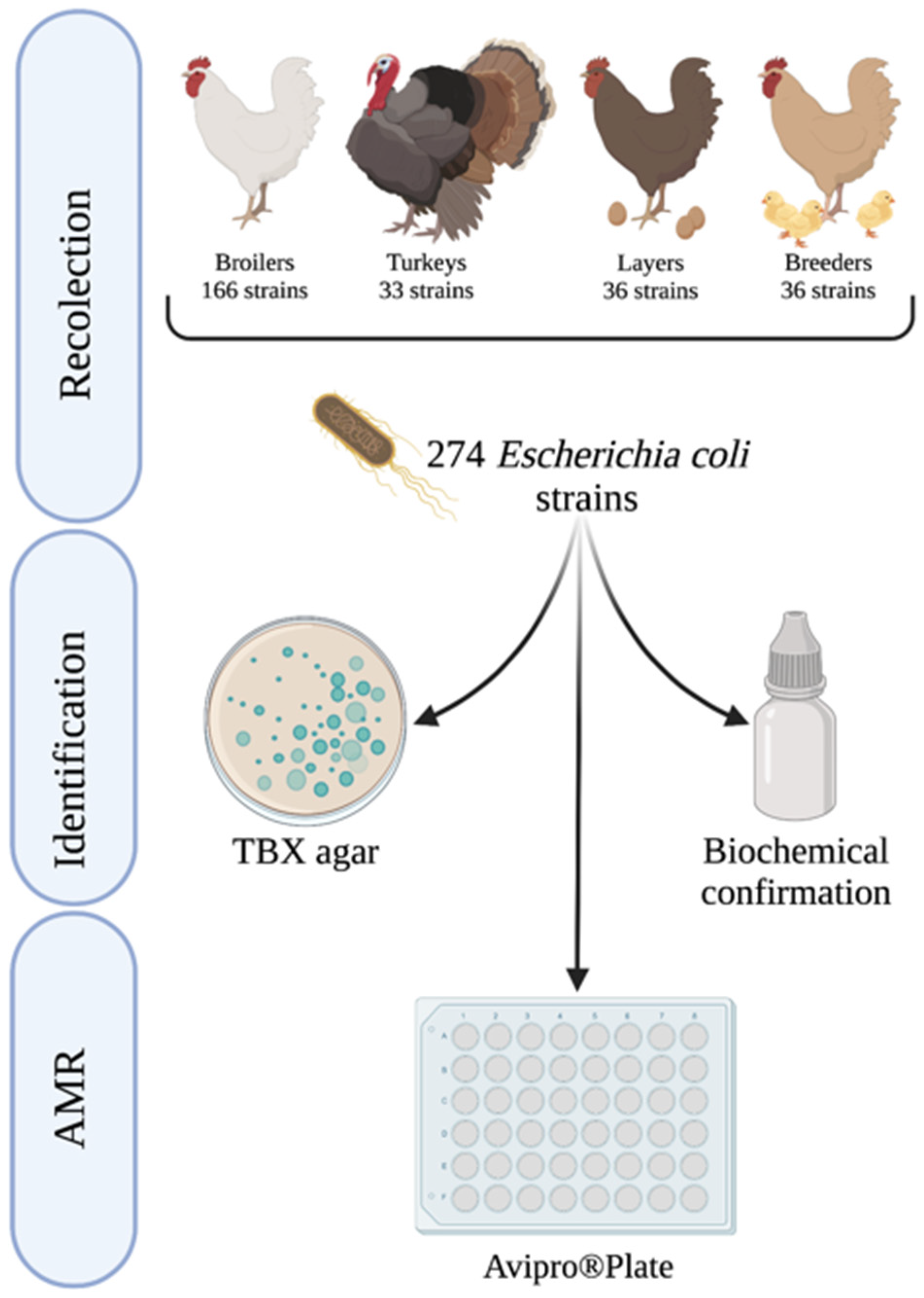 Antibiotics Free FullText Antimicrobial Resistance Trends of