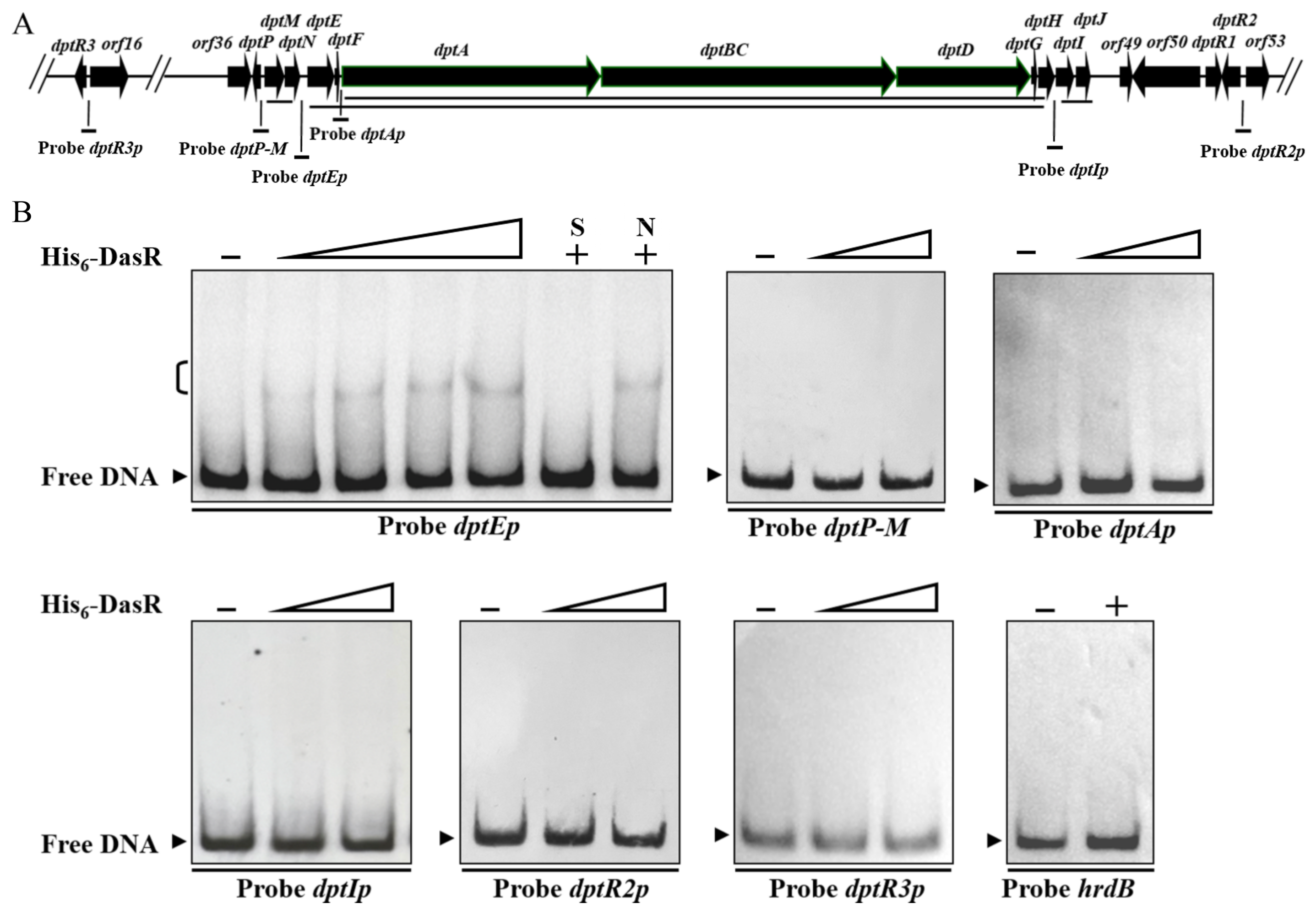 Antibiotics 11 01065 g003 Antibiotics 11 01065 g003