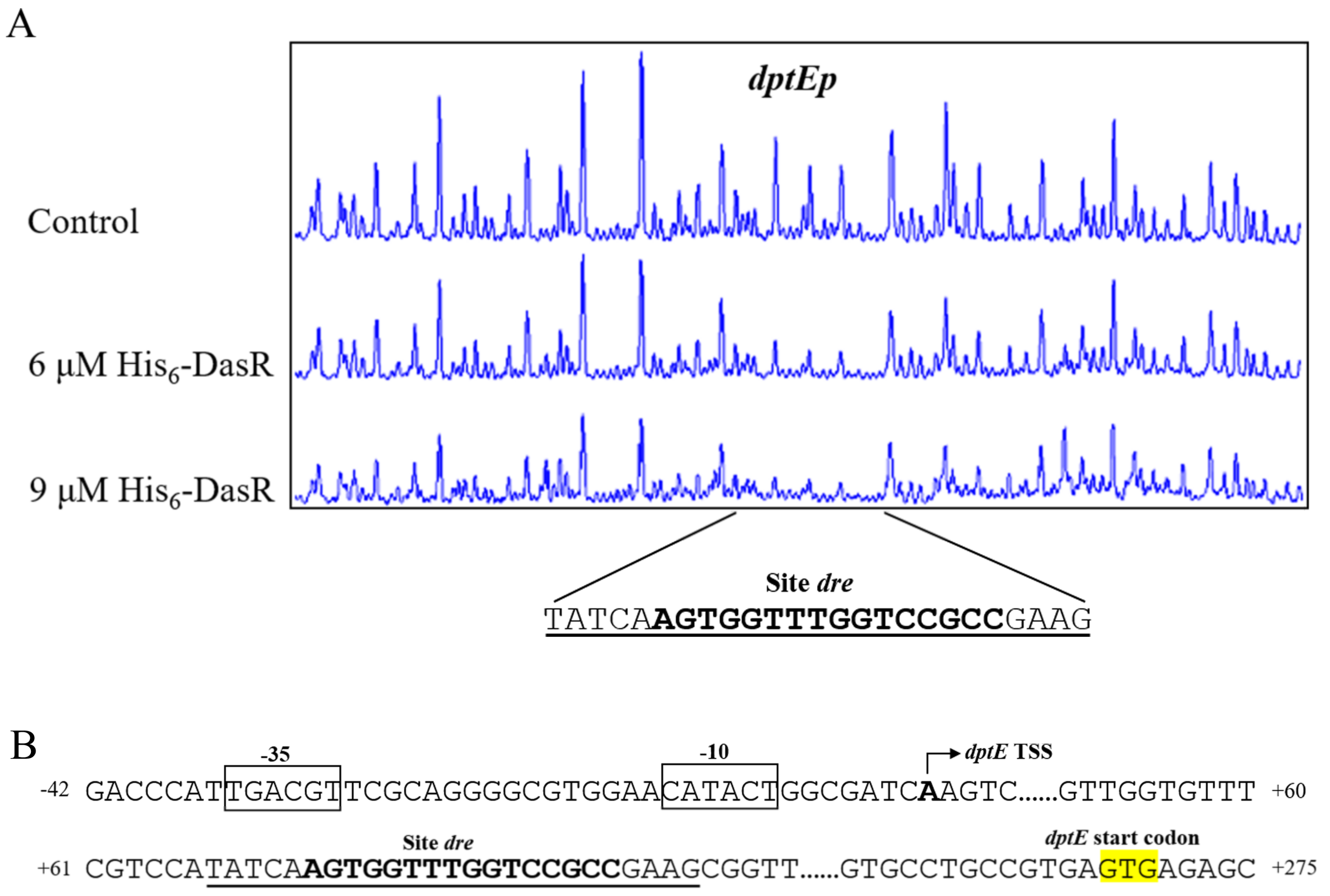 Antibiotics 11 01065 g004 Antibiotics 11 01065 g004