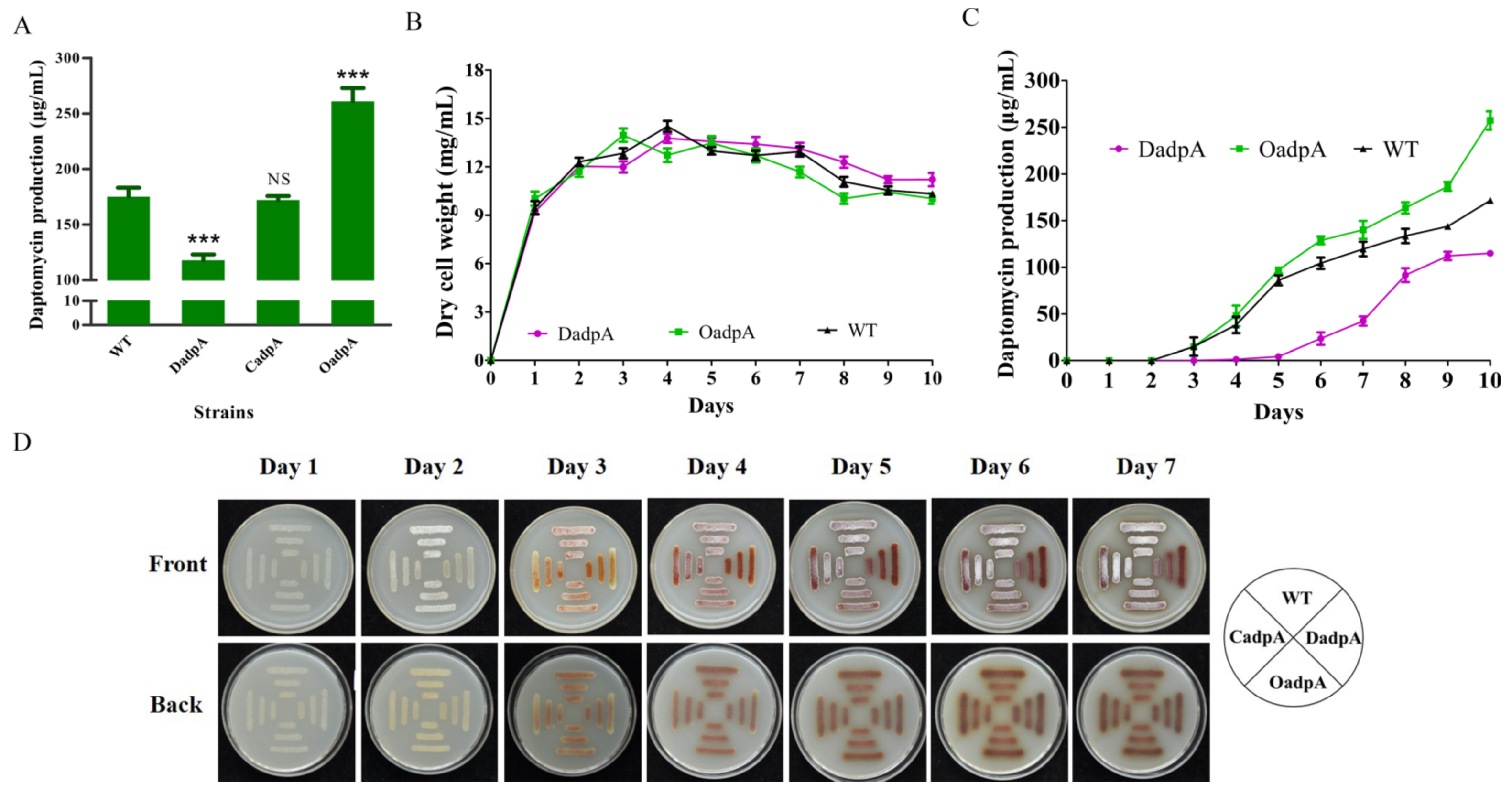 Antibiotics 11 01065 g006 Antibiotics 11 01065 g006