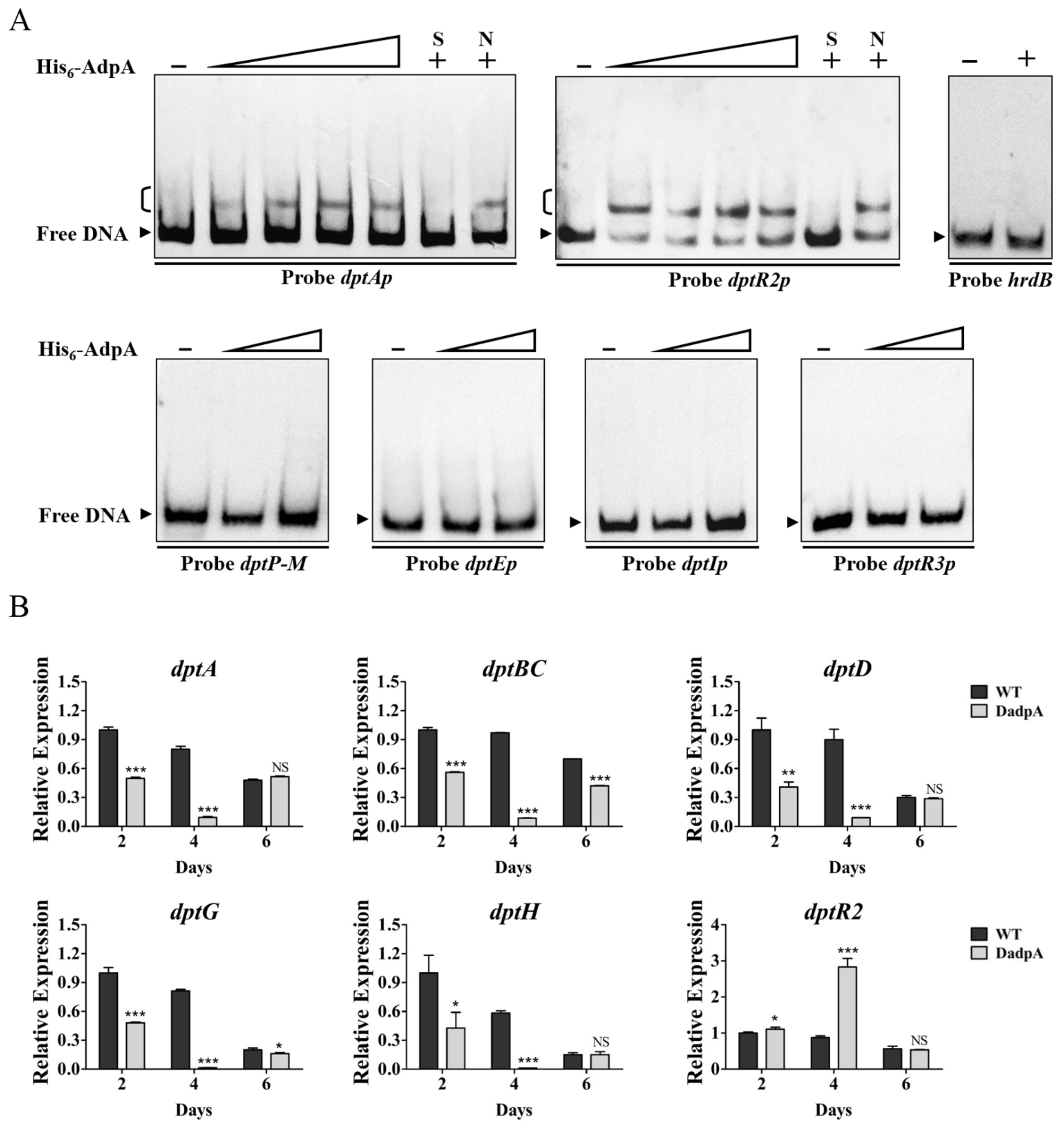 Antibiotics 11 01065 g007 Antibiotics 11 01065 g007