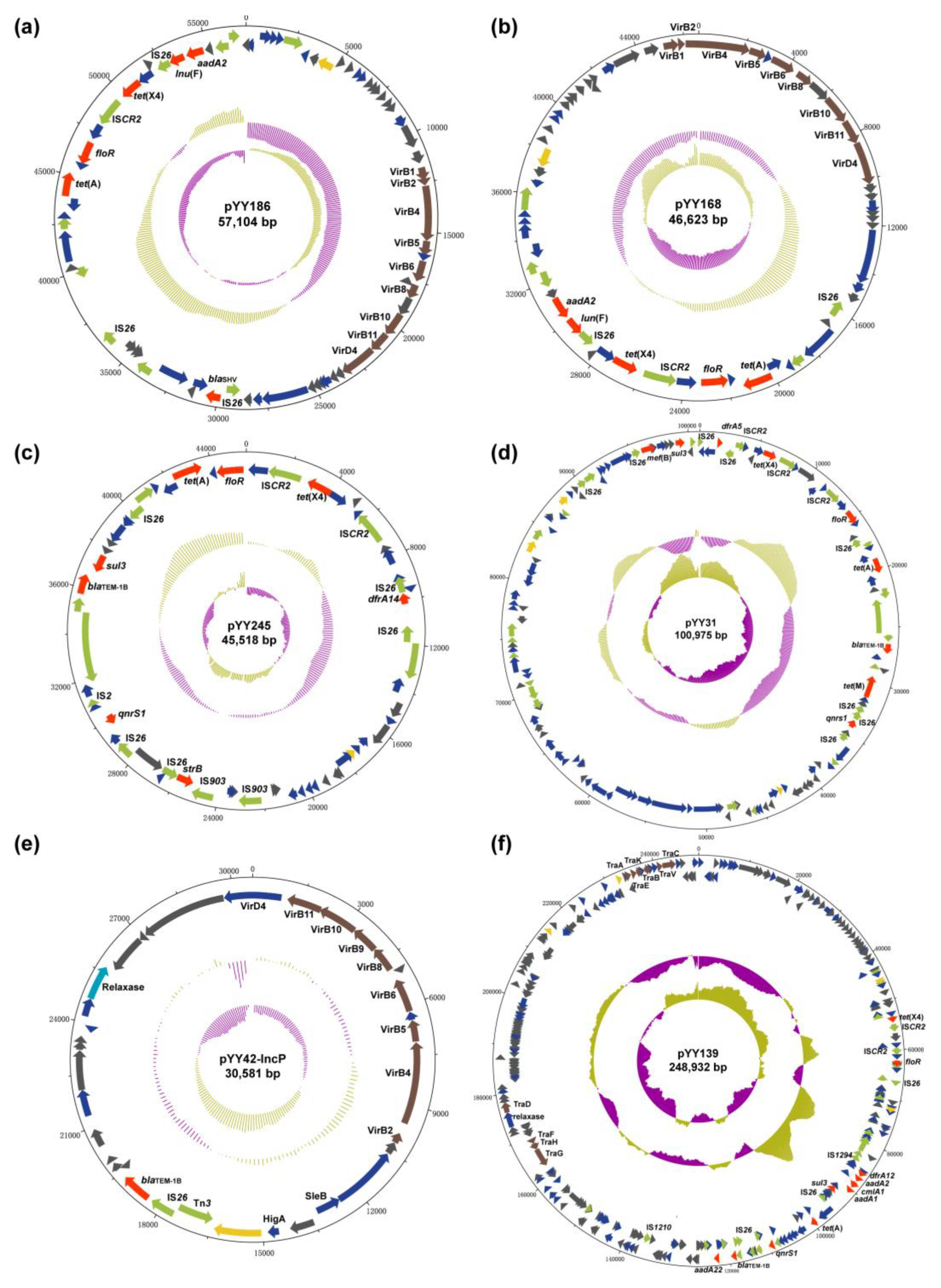 Antibiotics 11 01068 g003