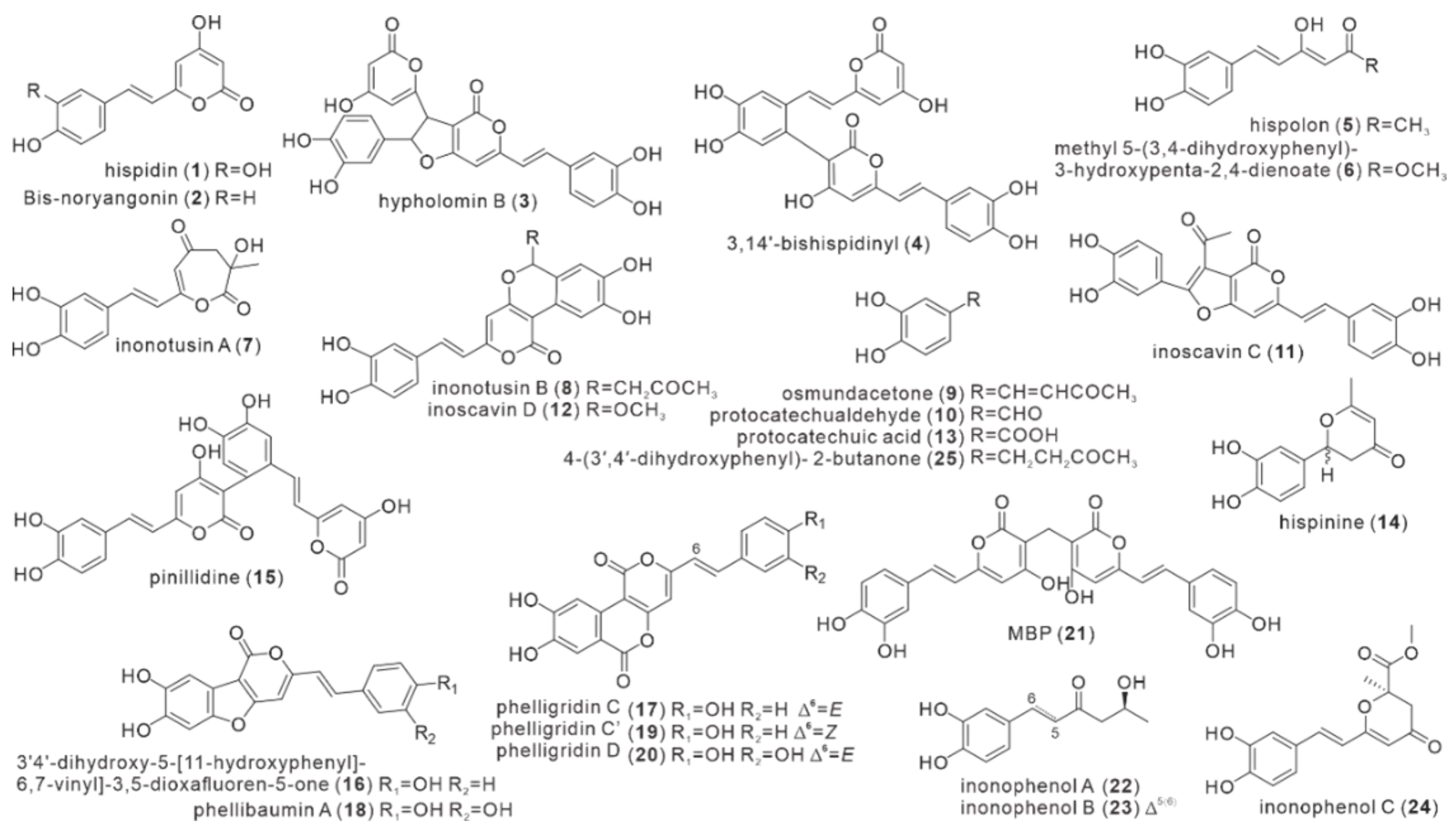 Antibiotics 11 01097 g002