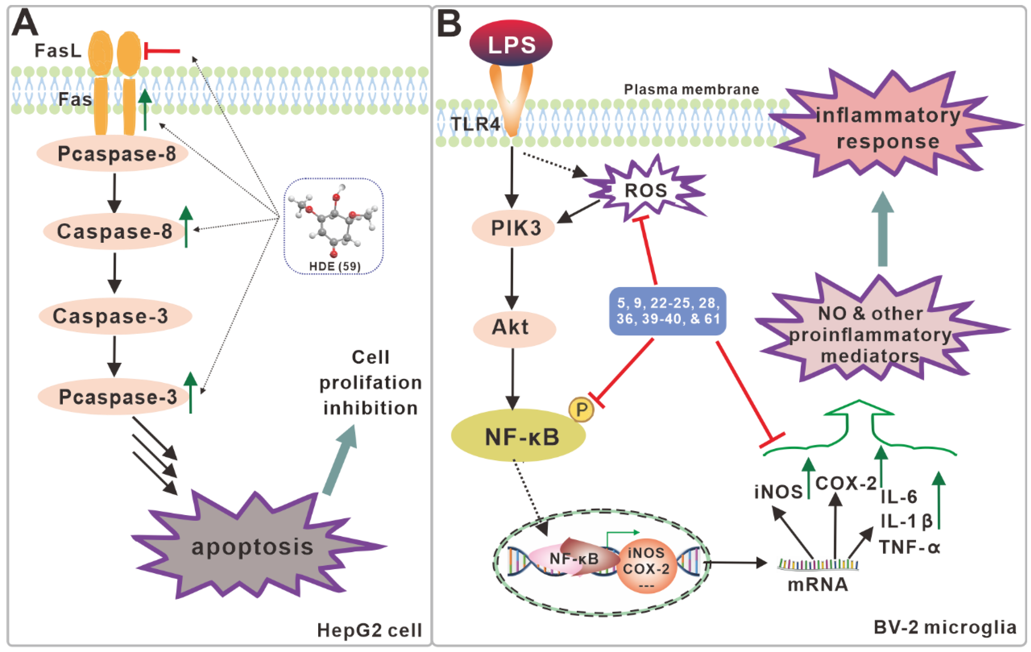 Antibiotics 11 01097 g007