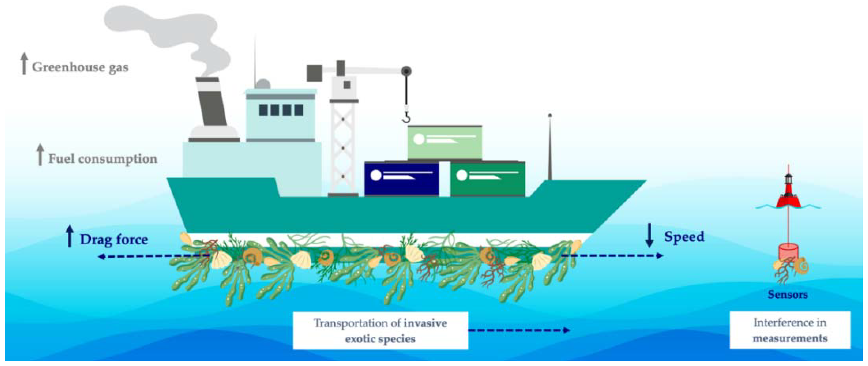 Antifouling Performance of Carbon-Based Coatings for Marine 