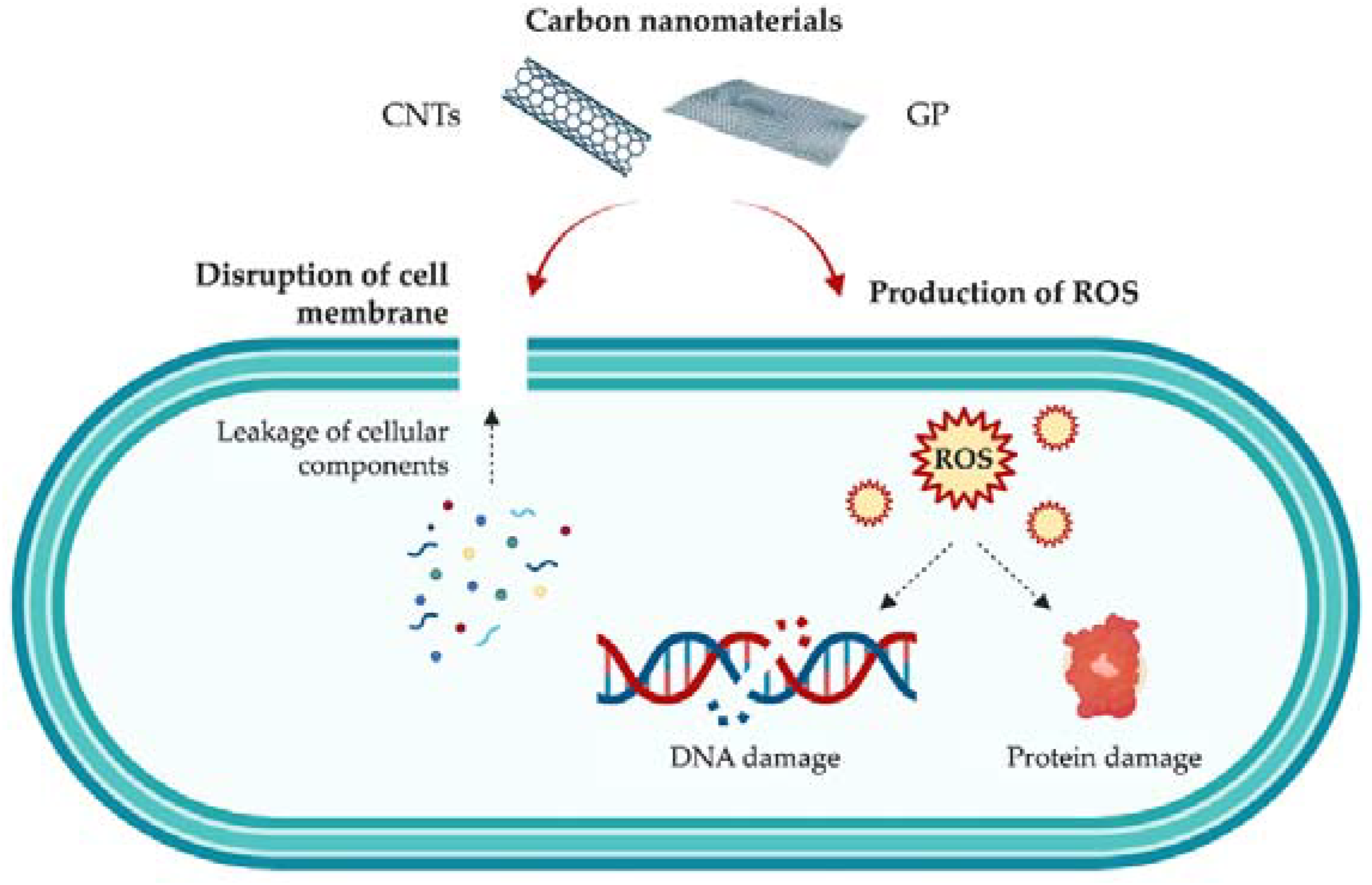 Antibiotics 11 01102 g002 550