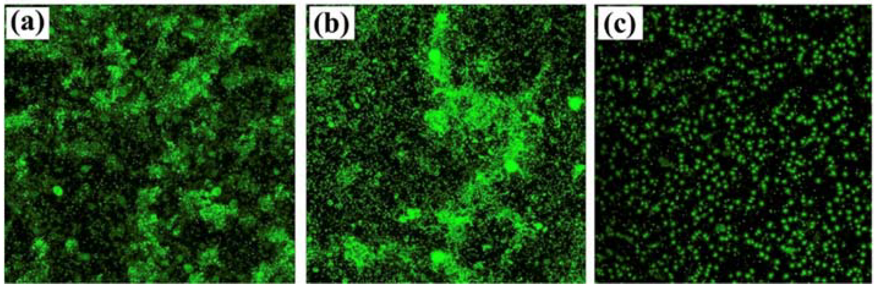 Antibiotics 11 01102 g006 550